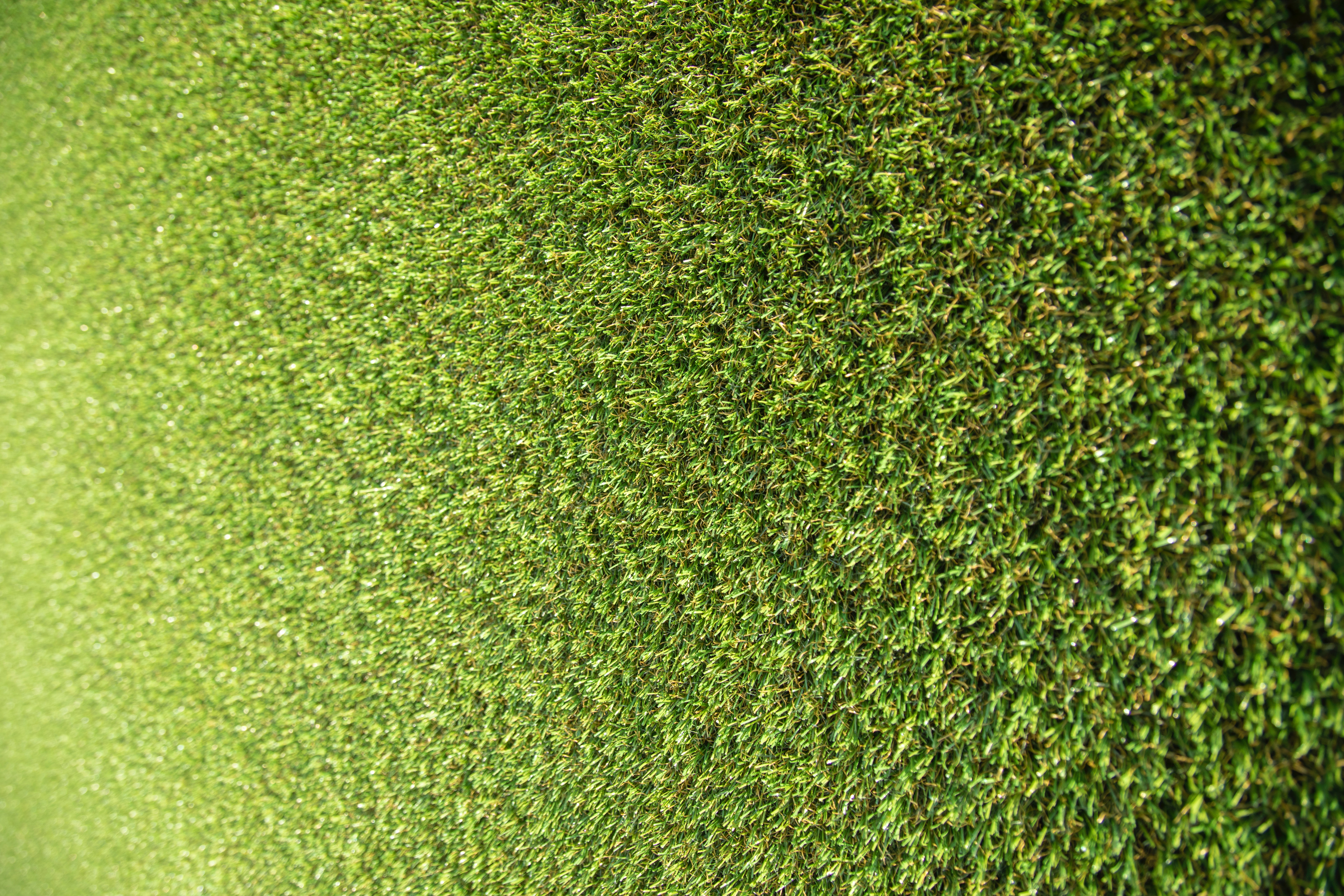 nature, grass, green, stadium High Definition image