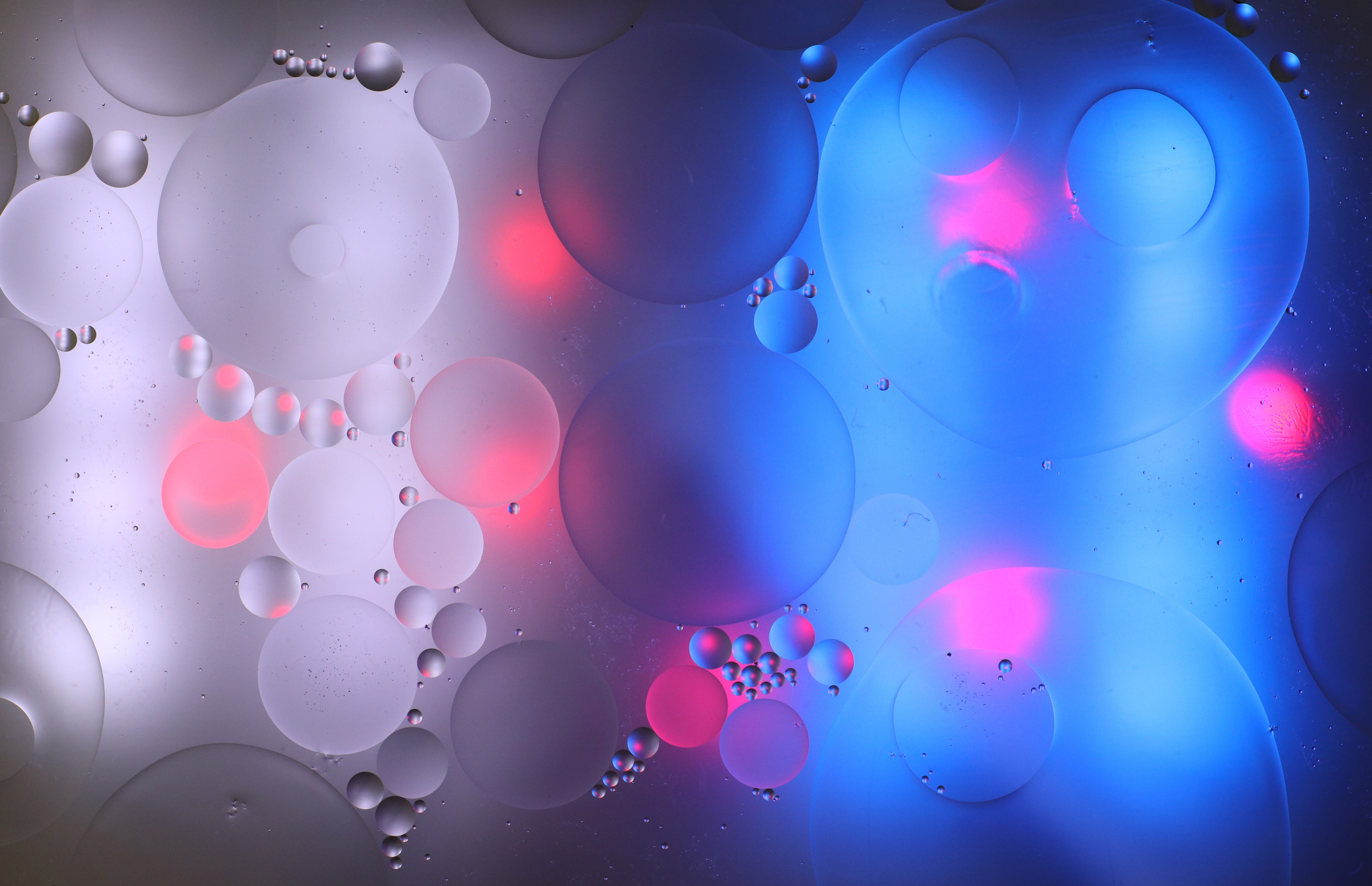 Gradient circles, abstract, water, bubbles Free Stock Photos