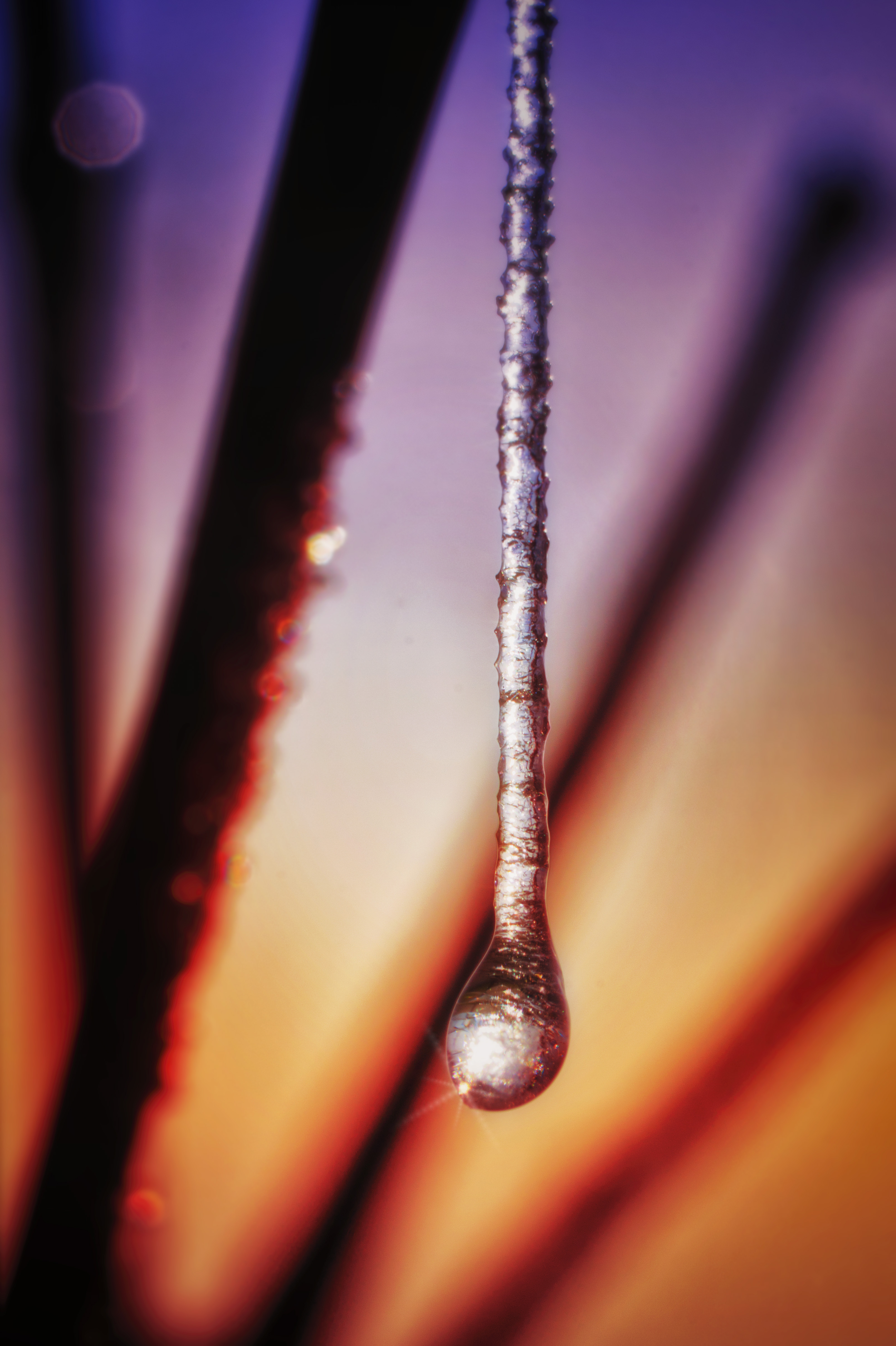drop, frost, macro, frozen Lock Screen Images