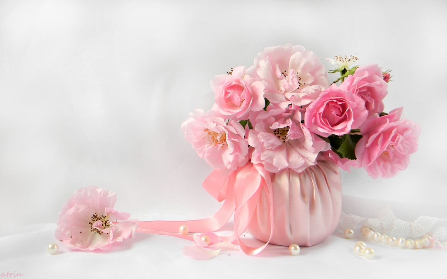 Peony là loại hoa được yêu thích vì màu sắc phong phú và hương thơm tuyệt vời. Hãy nhấn vào hình ảnh để thưởng thức vẻ đẹp của Peony.