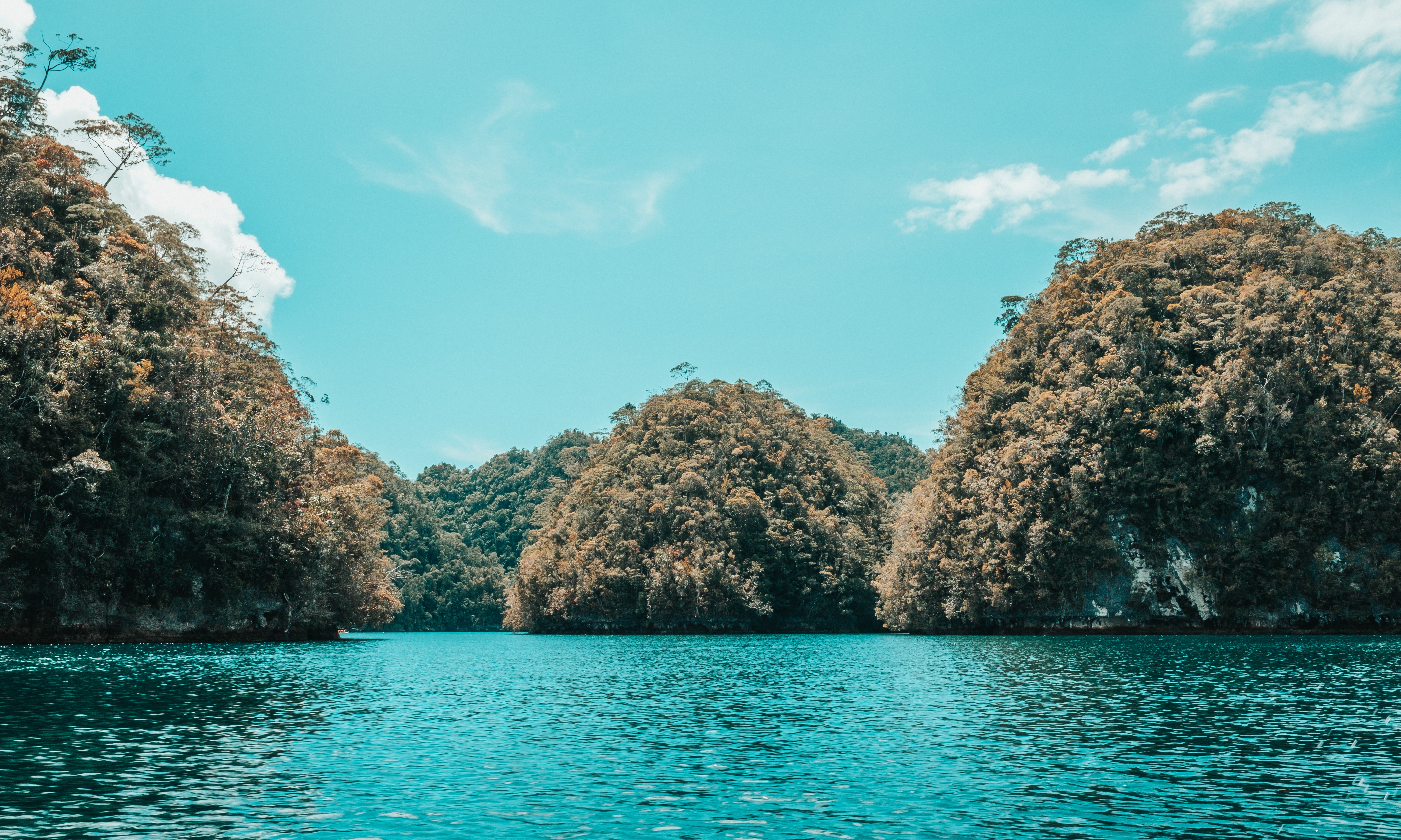 Laden Sie das Natur, Wasser, Bäume, Küste, Inseln-Bild kostenlos auf Ihren PC-Desktop herunter