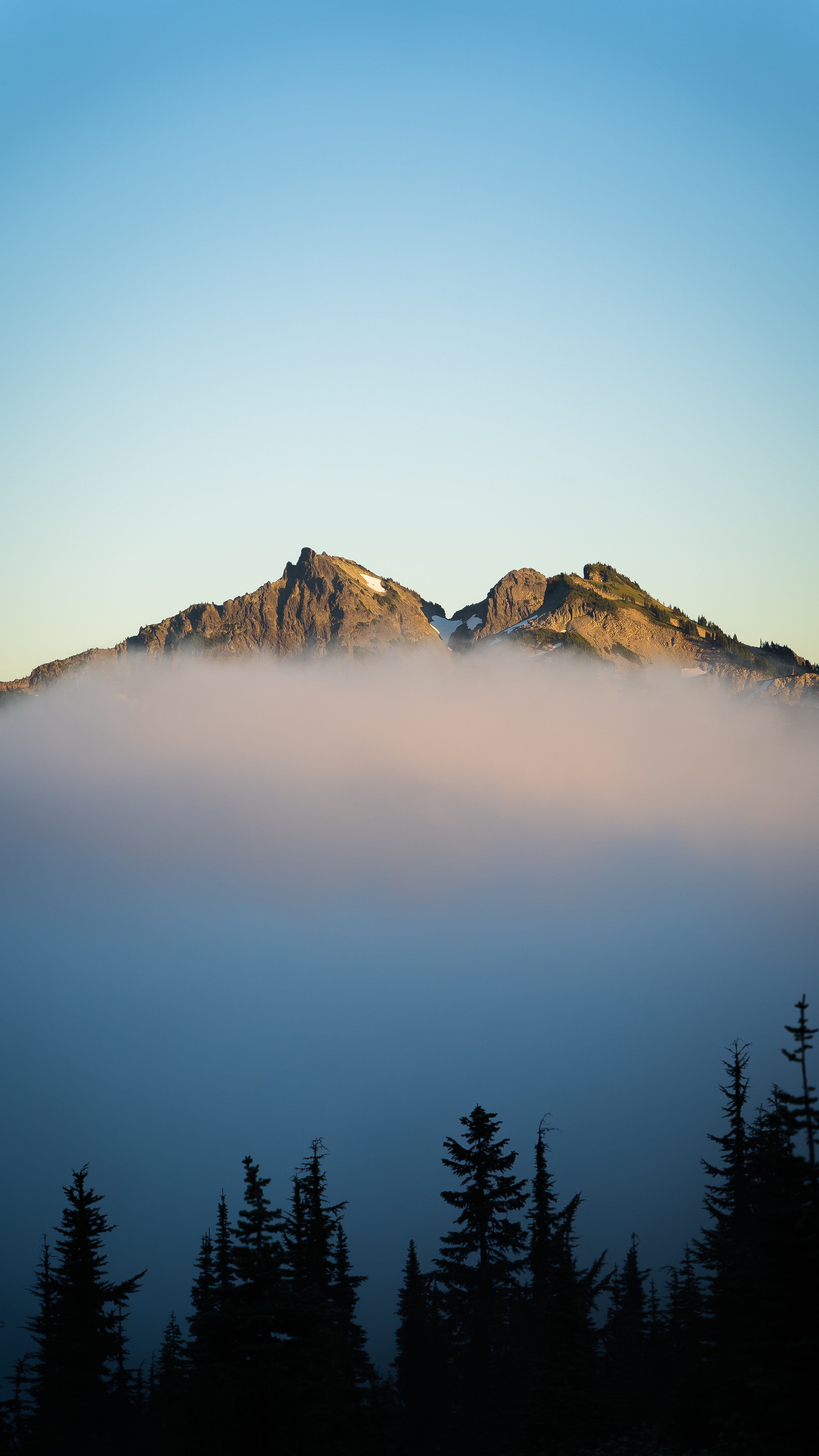 fir, nature, sky, mountains, fog, spruce 32K