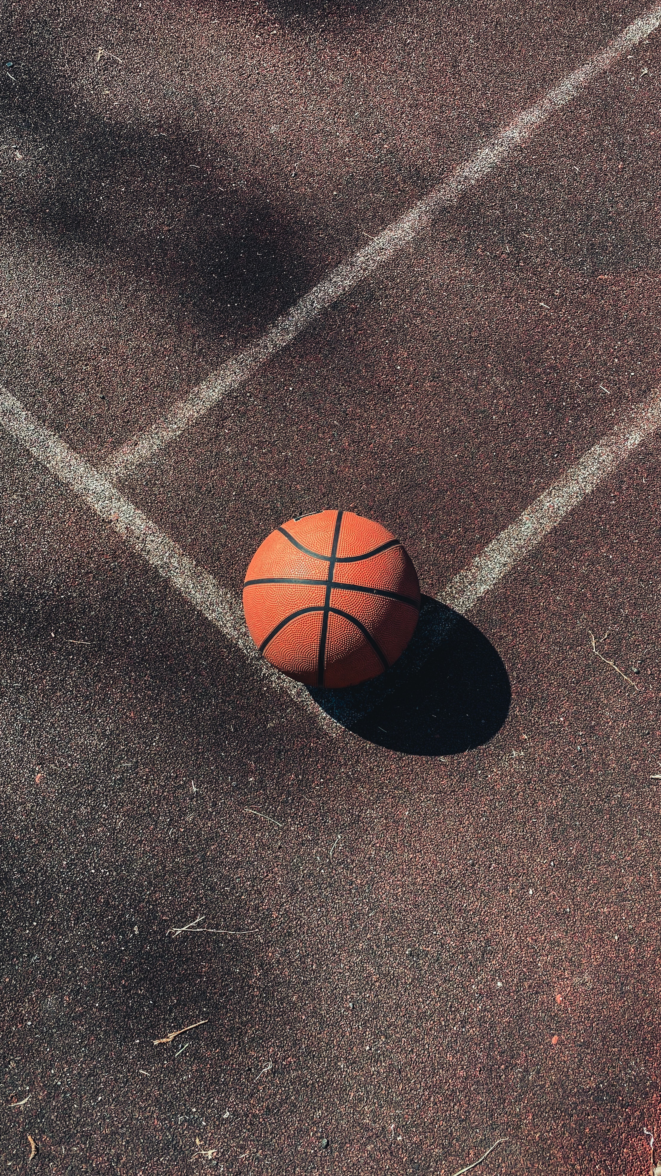 basketball, sports, markup, ball, court