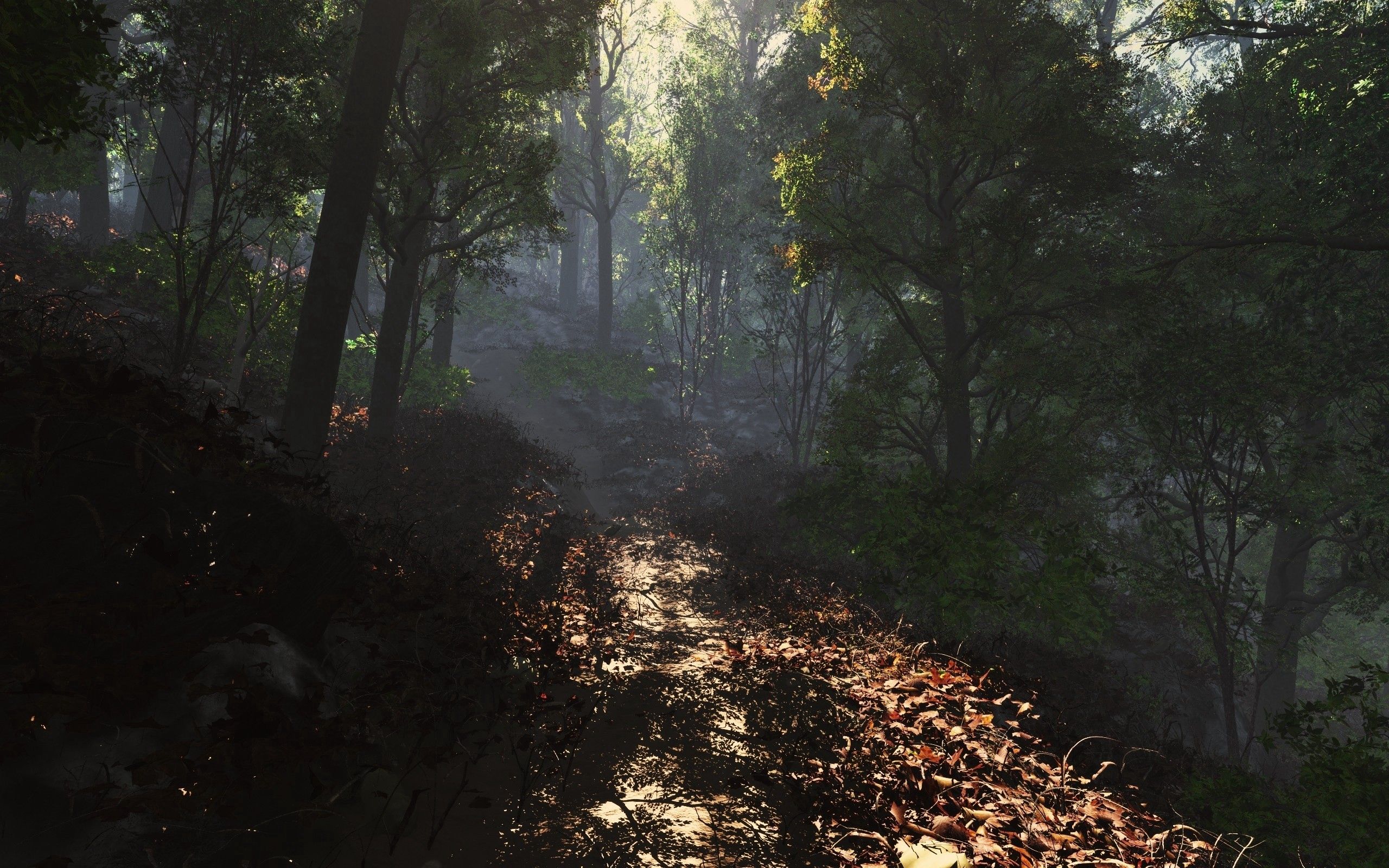 leaves, nature, path, forest Free Pure 4K Ultra