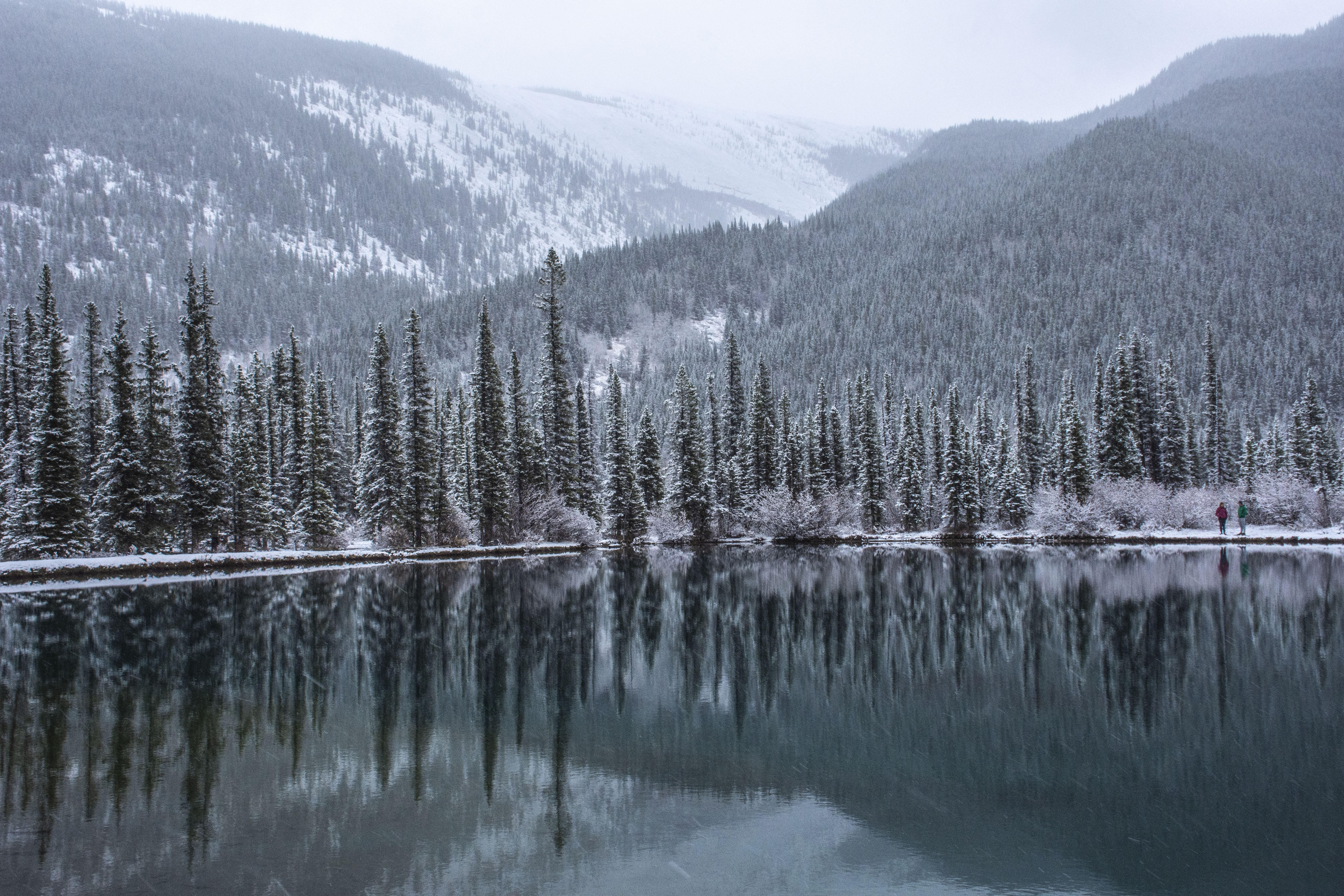 Lake forest, snow, landscape, nature 1366x768 Wallpapers