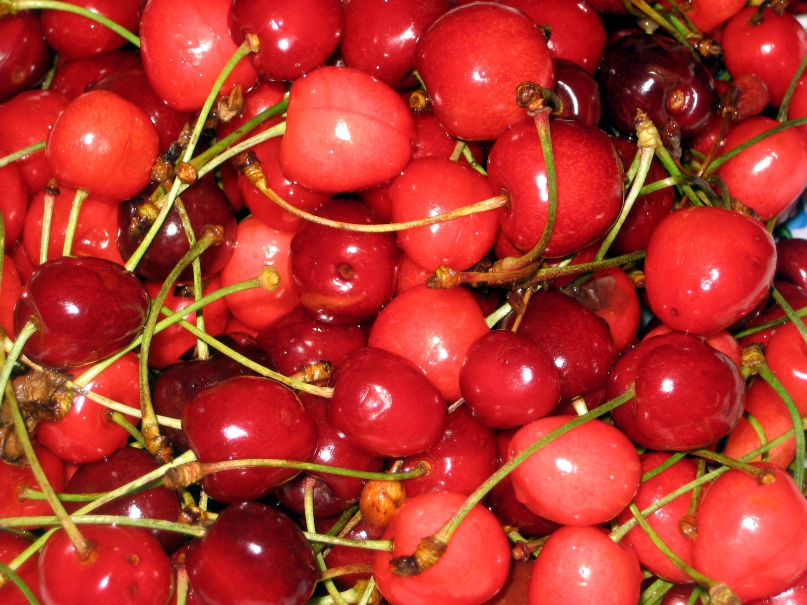 2028 завантажити шпалери фрукти, черешня, їжа, фон, ягоди, червоний - заставки і картинки безкоштовно
