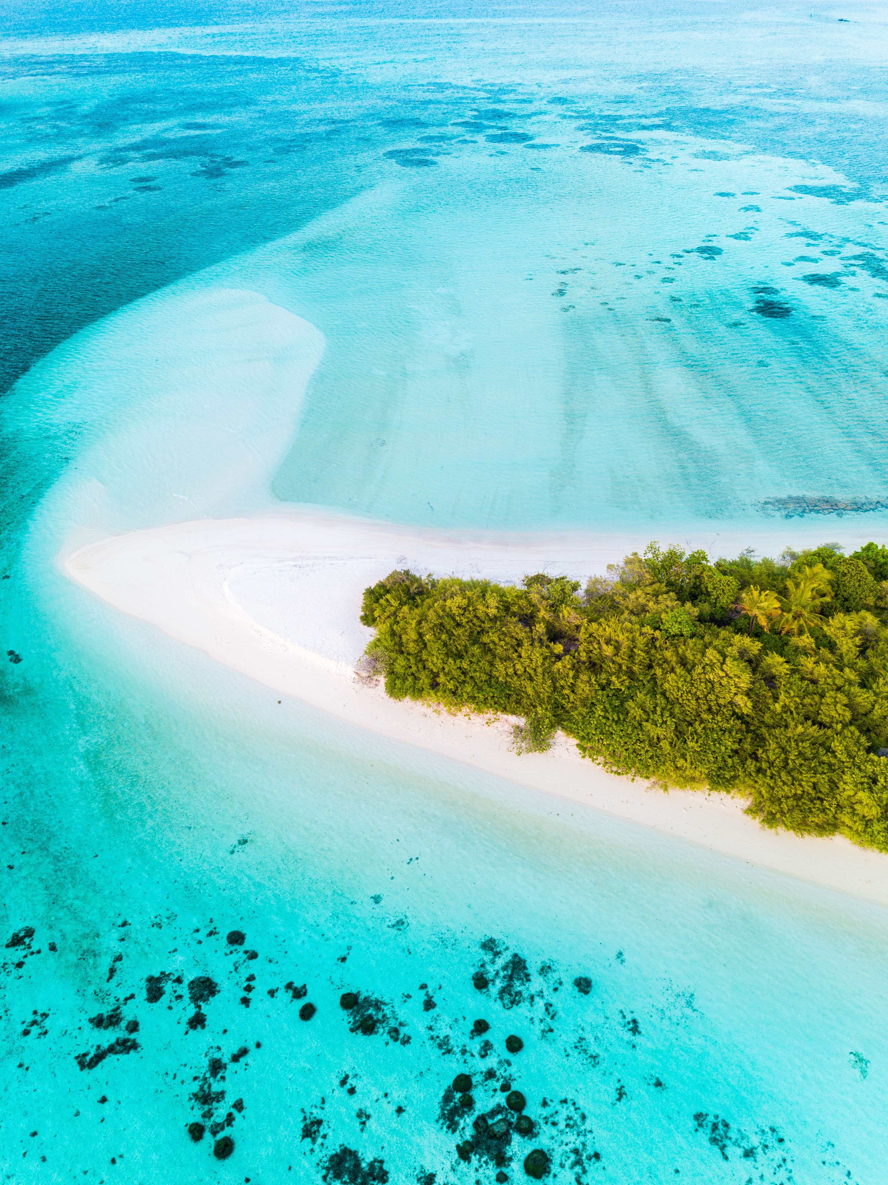 Island ocean, beach, palms, view from above Lock Screen