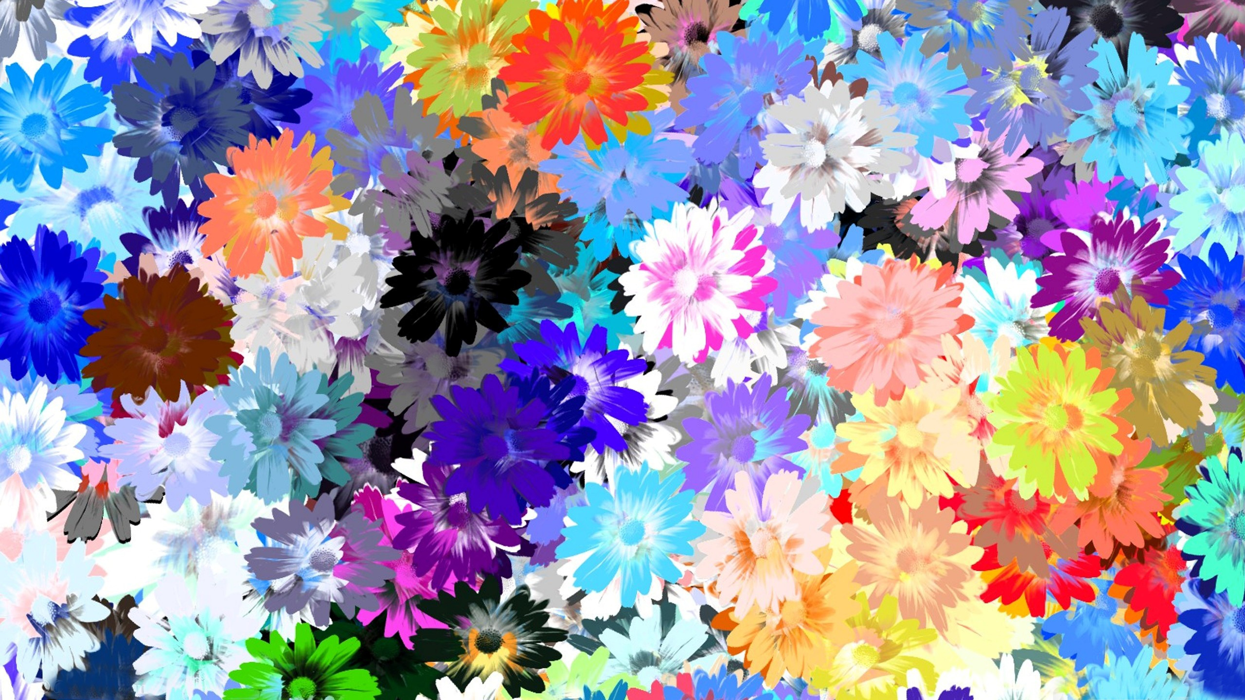 Цветы маленькие разноцветные