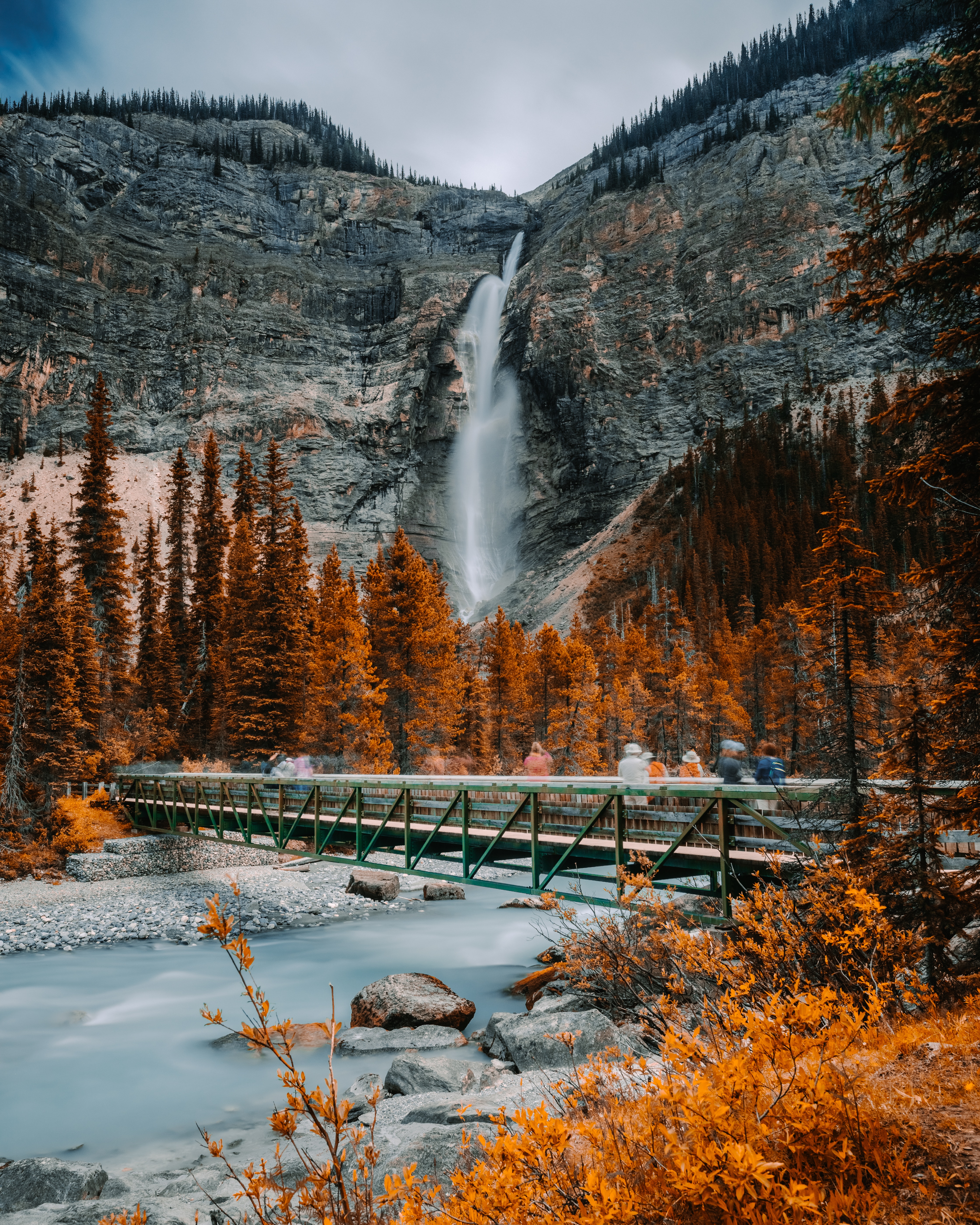 trees, nature, rivers, rock, waterfall, bridge phone background