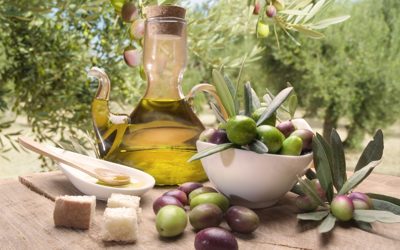 food, olive, jar, oil
