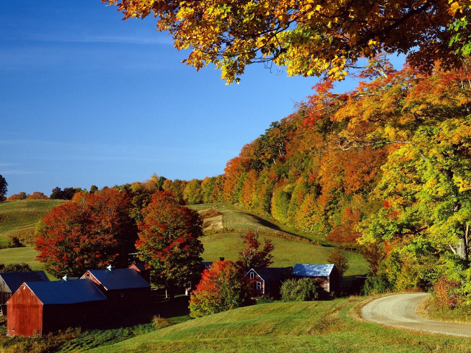 Laden Sie das Herbst, Natur, Häuser, Bäume, Dorf, Wiesen-Bild kostenlos auf Ihren PC-Desktop herunter