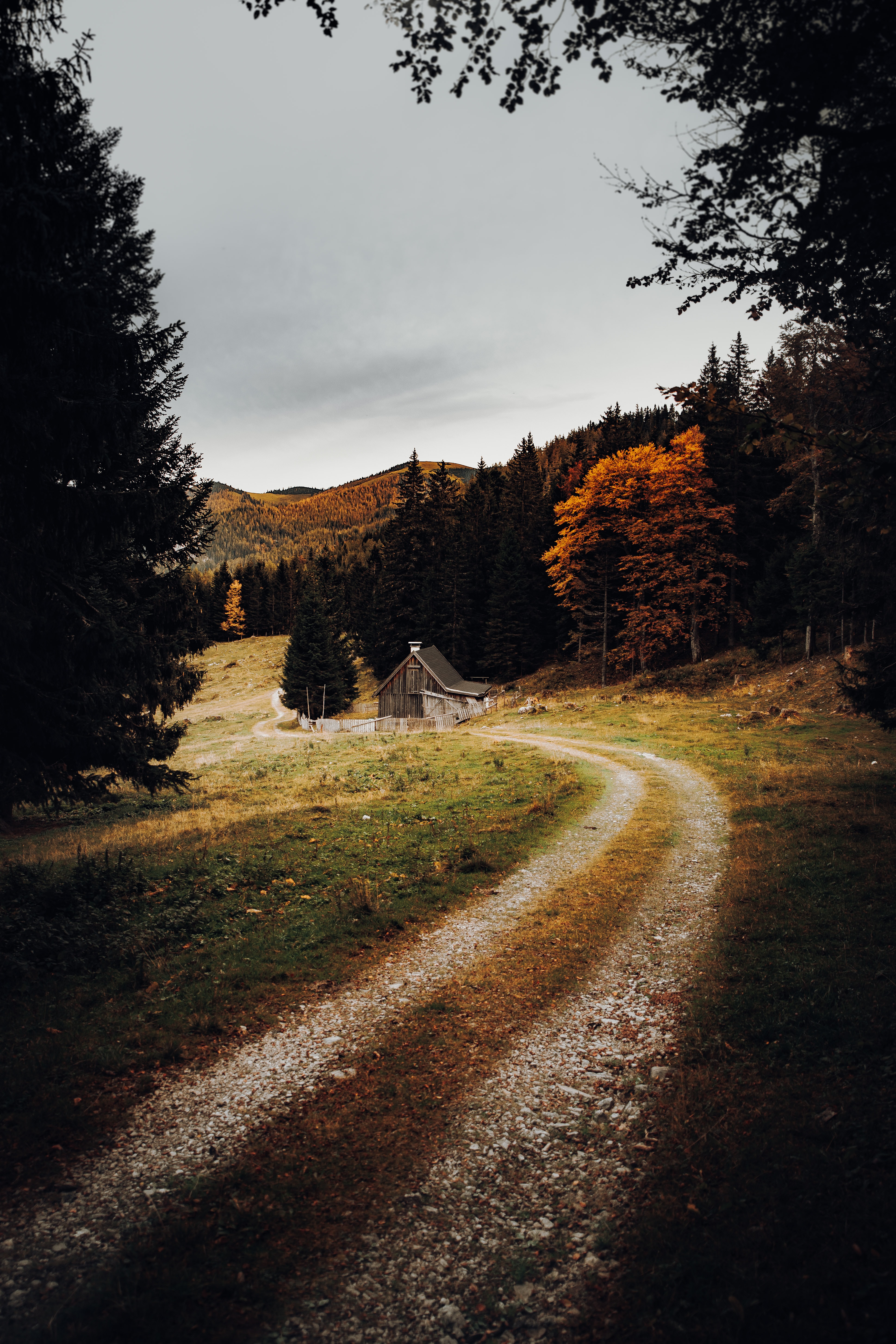 path, nature, autumn, forest, house
