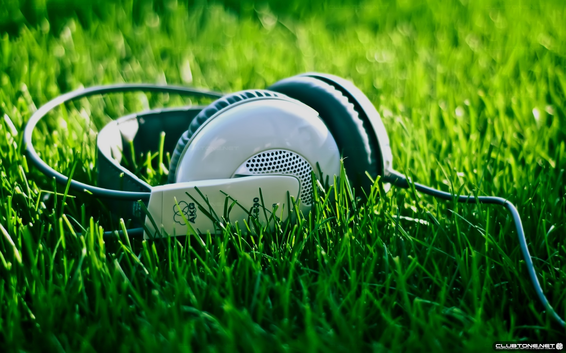 grass, green, music Full HD