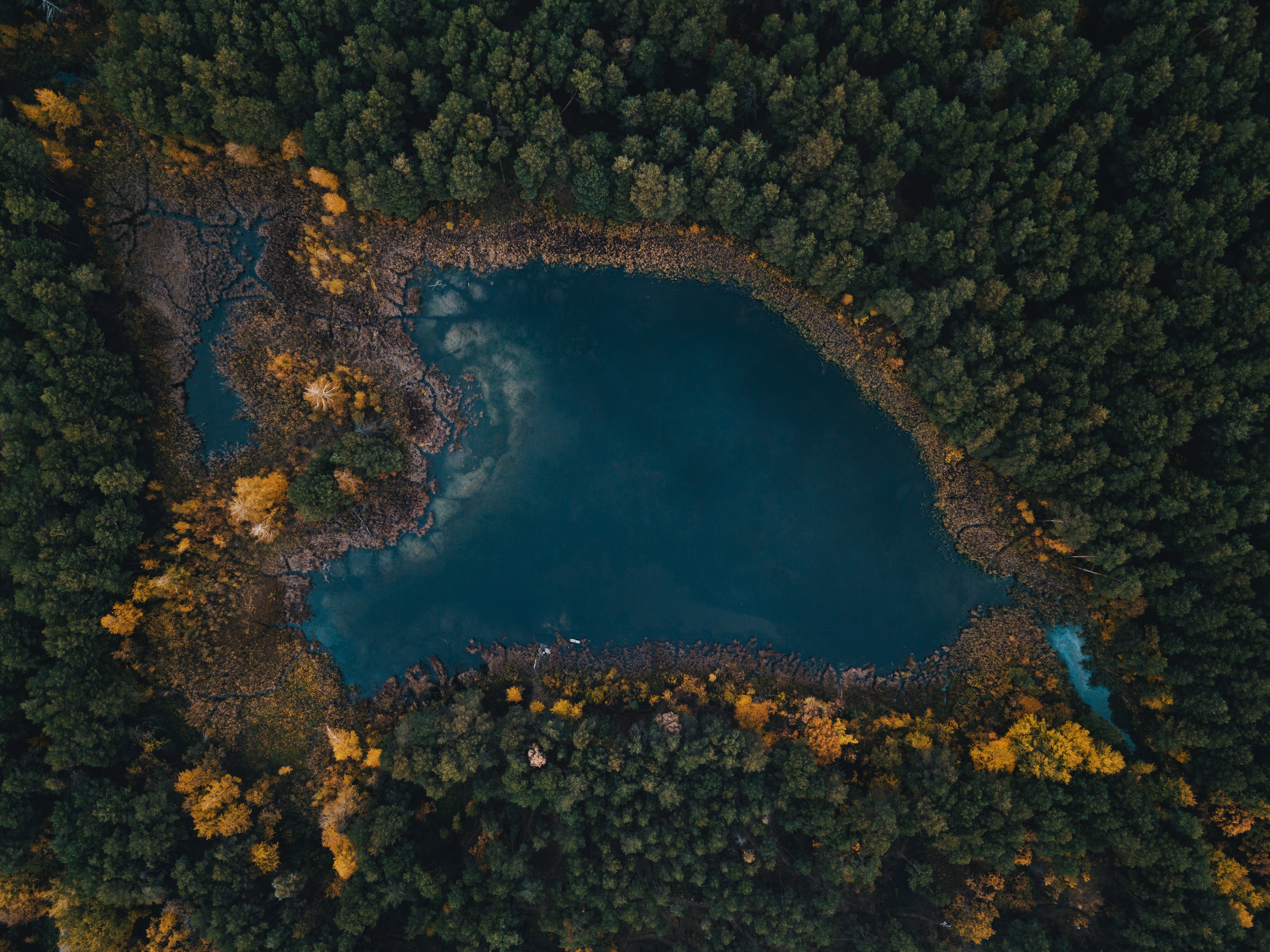 lake, nature, trees 4K iPhone