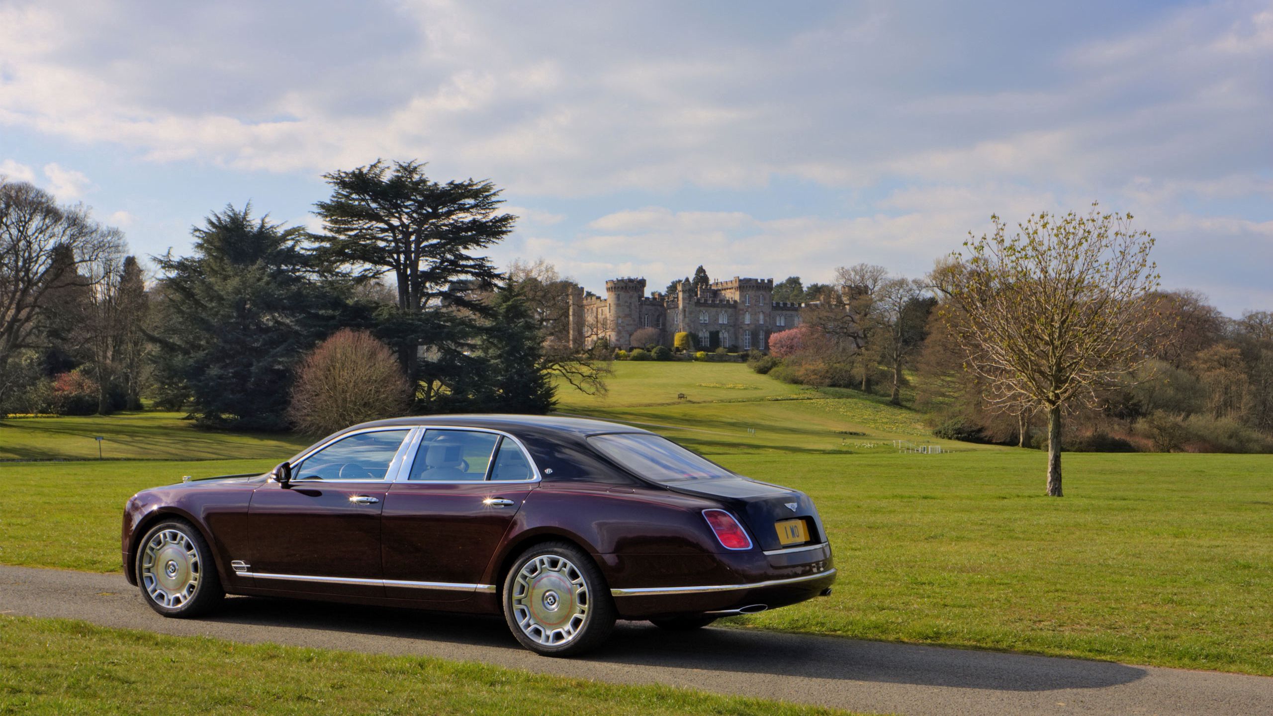 66463 Screensavers and Wallpapers Bentley for phone. Download grass, bentley, cars, side view pictures for free