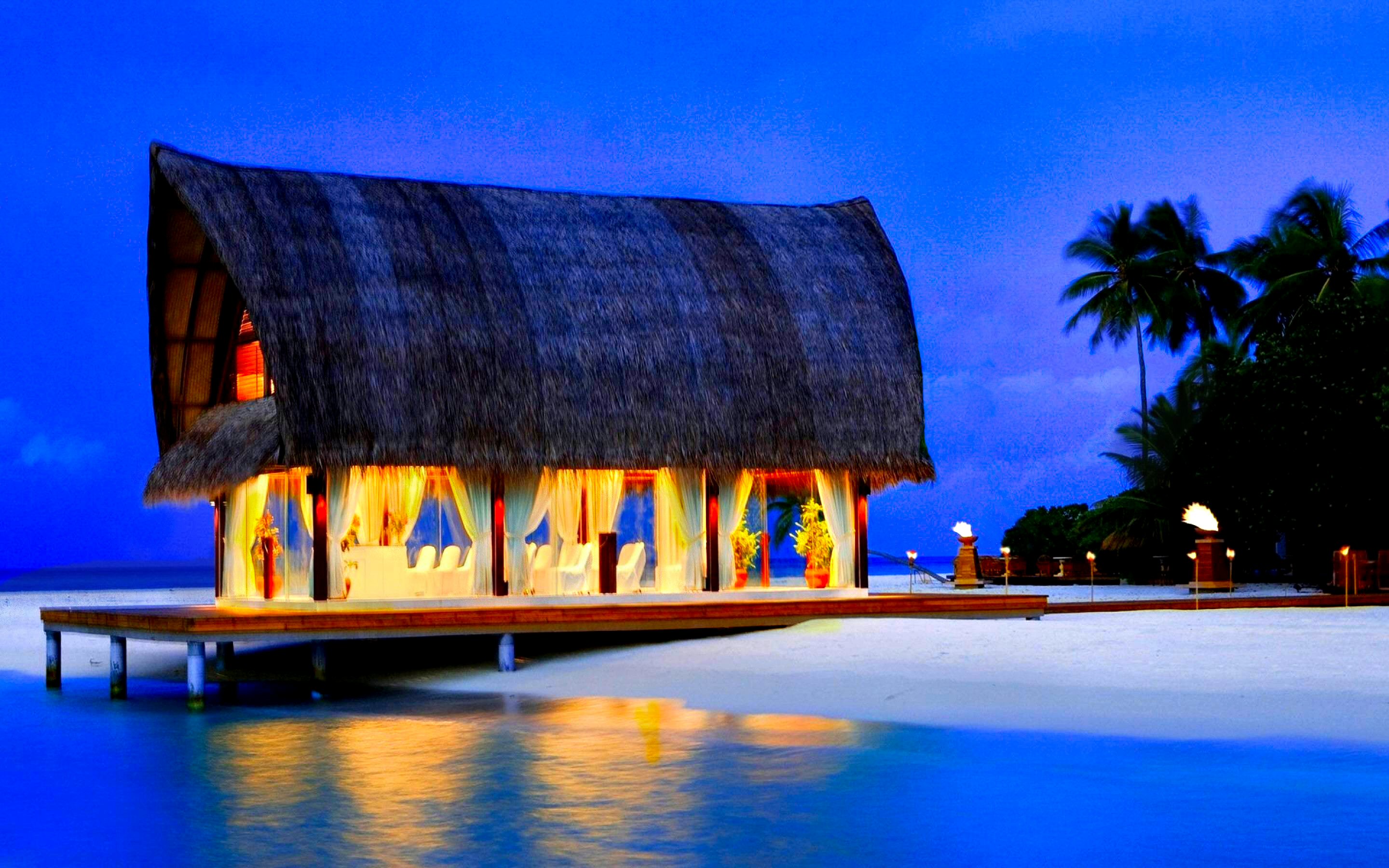 photography, tropical, maldives, palm tree, summer, twilight Full HD