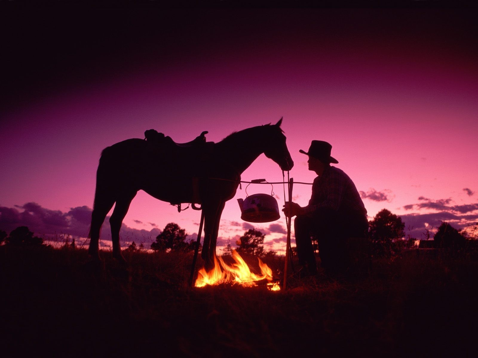 men, cowboy, horse, sky HD wallpaper