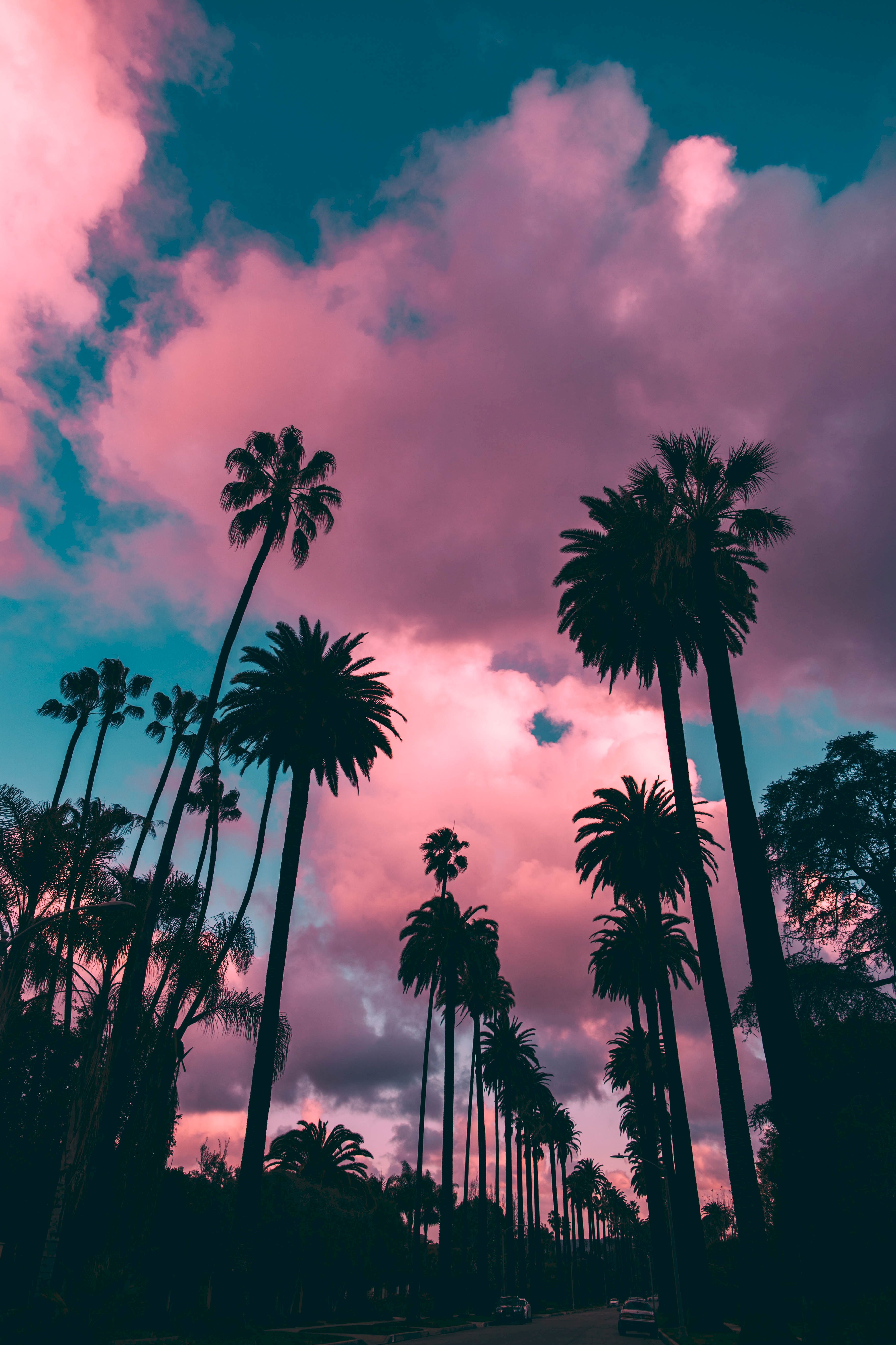 clouds, palms, nature, sunset, sky, porous, tropics Smartphone Background