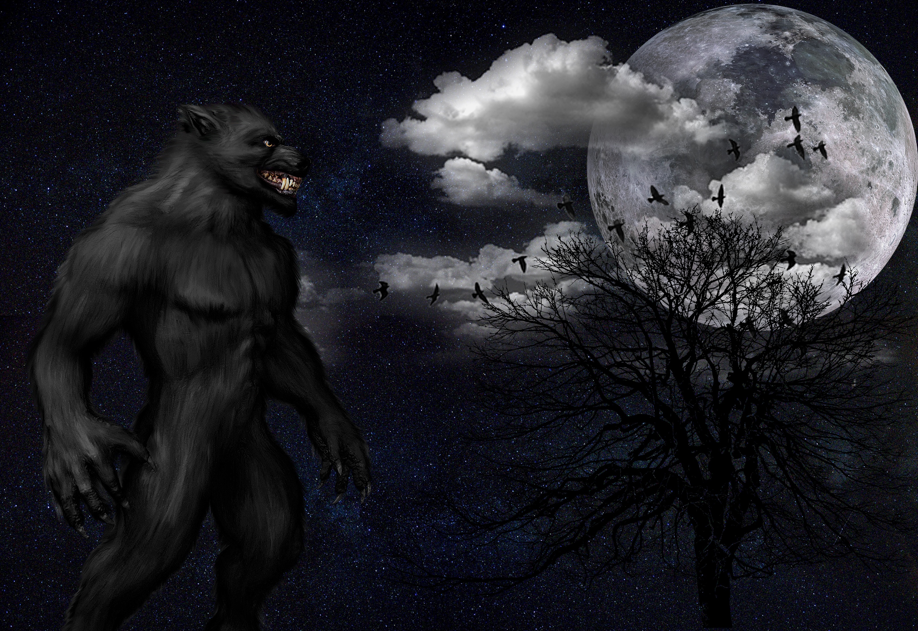 night, art, grin, starry sky, full moon, monster, werewolf UHD