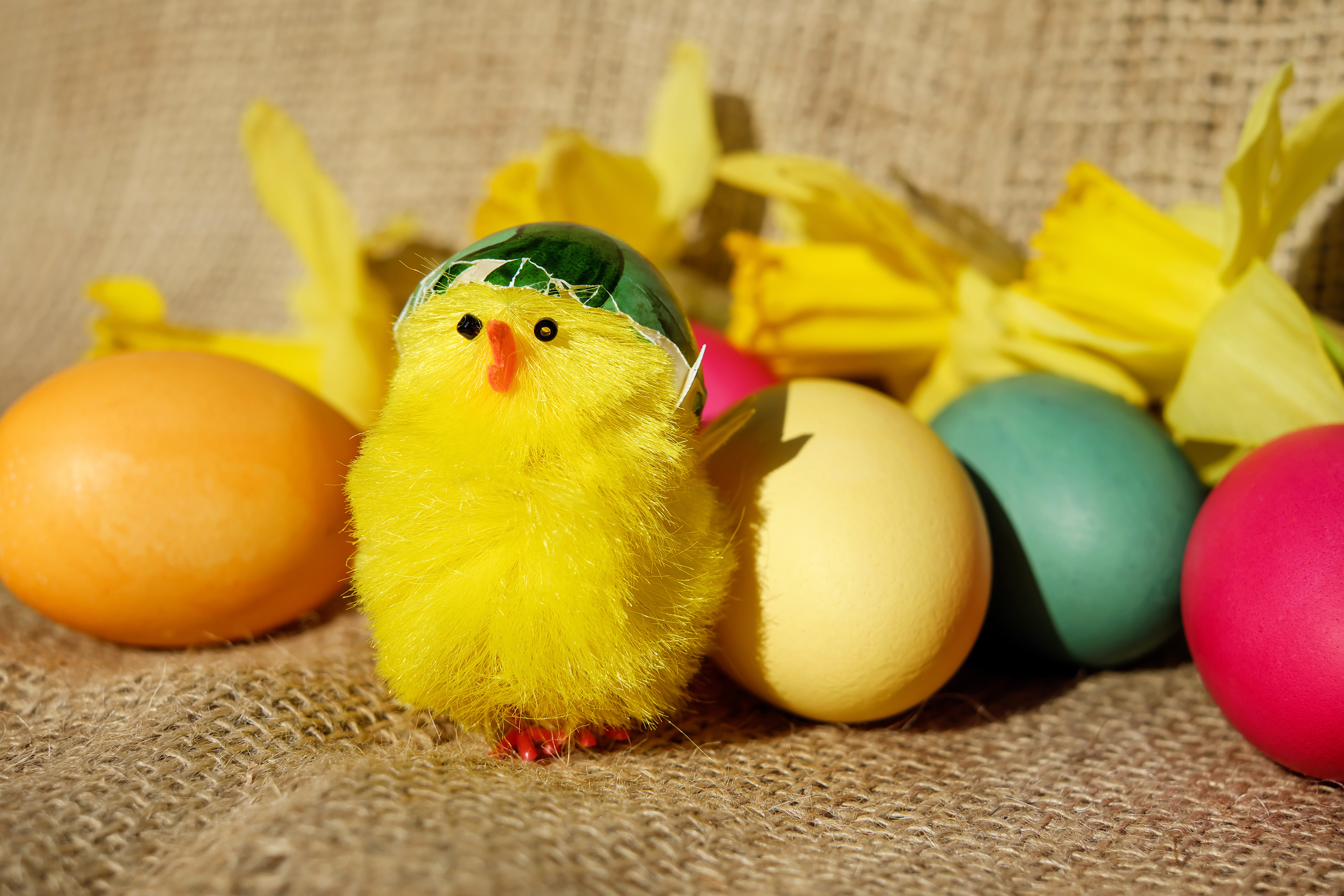 74345 download wallpaper holidays, eggs, easter, chick, chicken screensavers and pictures for free