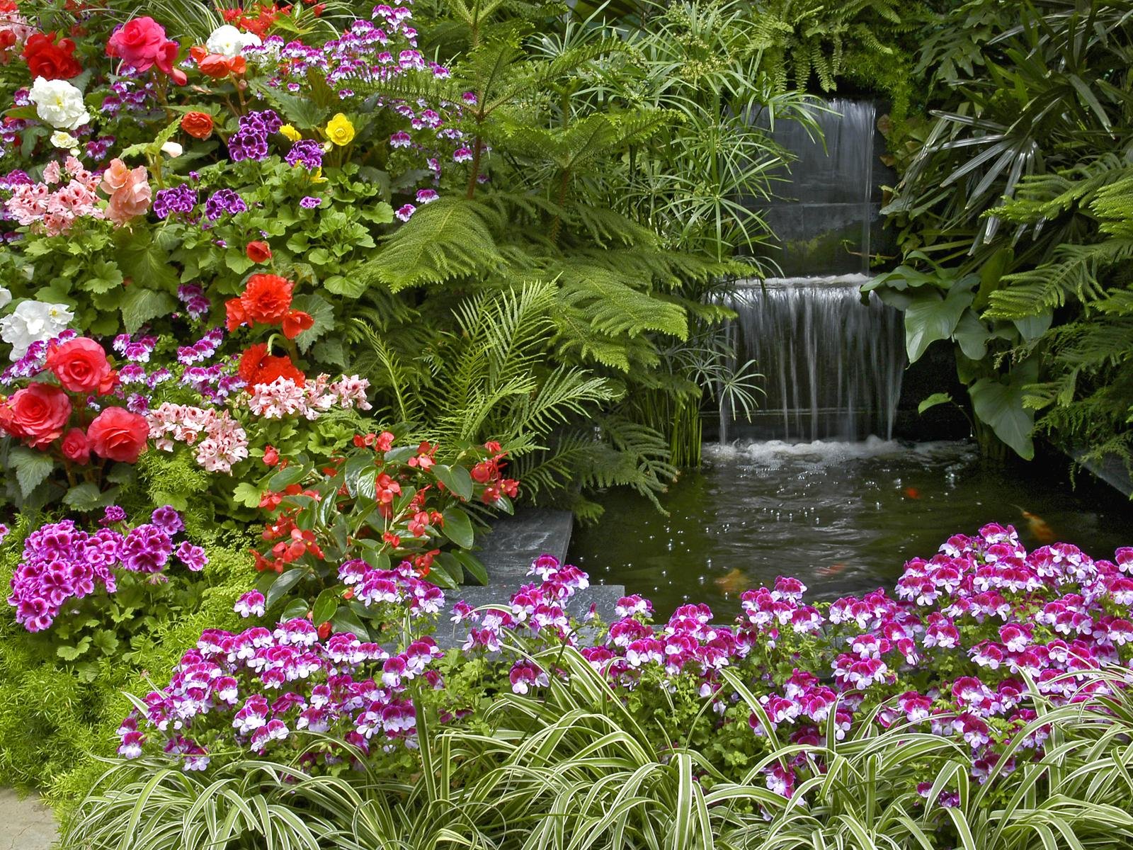 garden, waterfall, geranium, man made, begonia, fern 4K