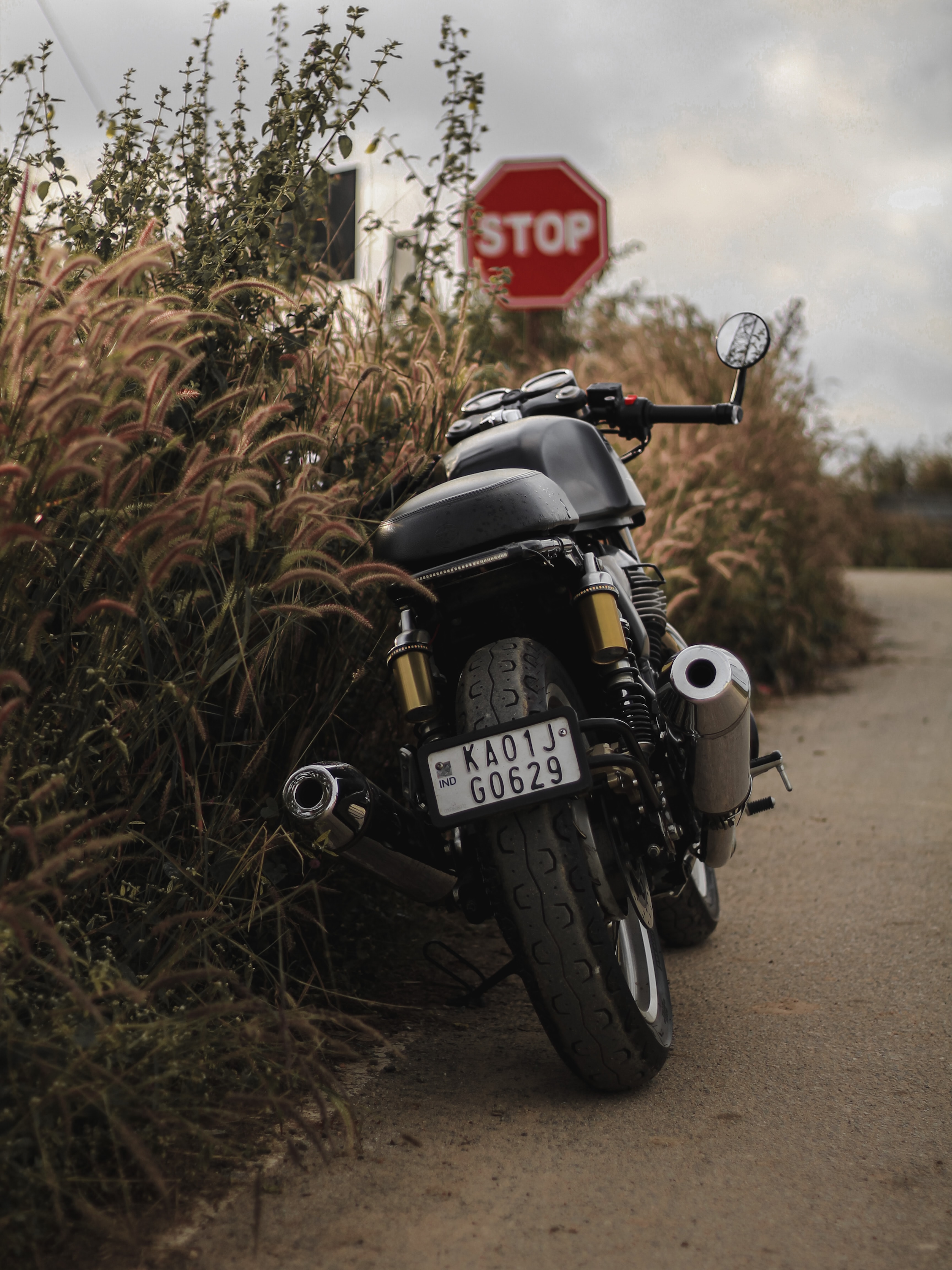 rear view, bike, back view, motorcycles HD Phone wallpaper