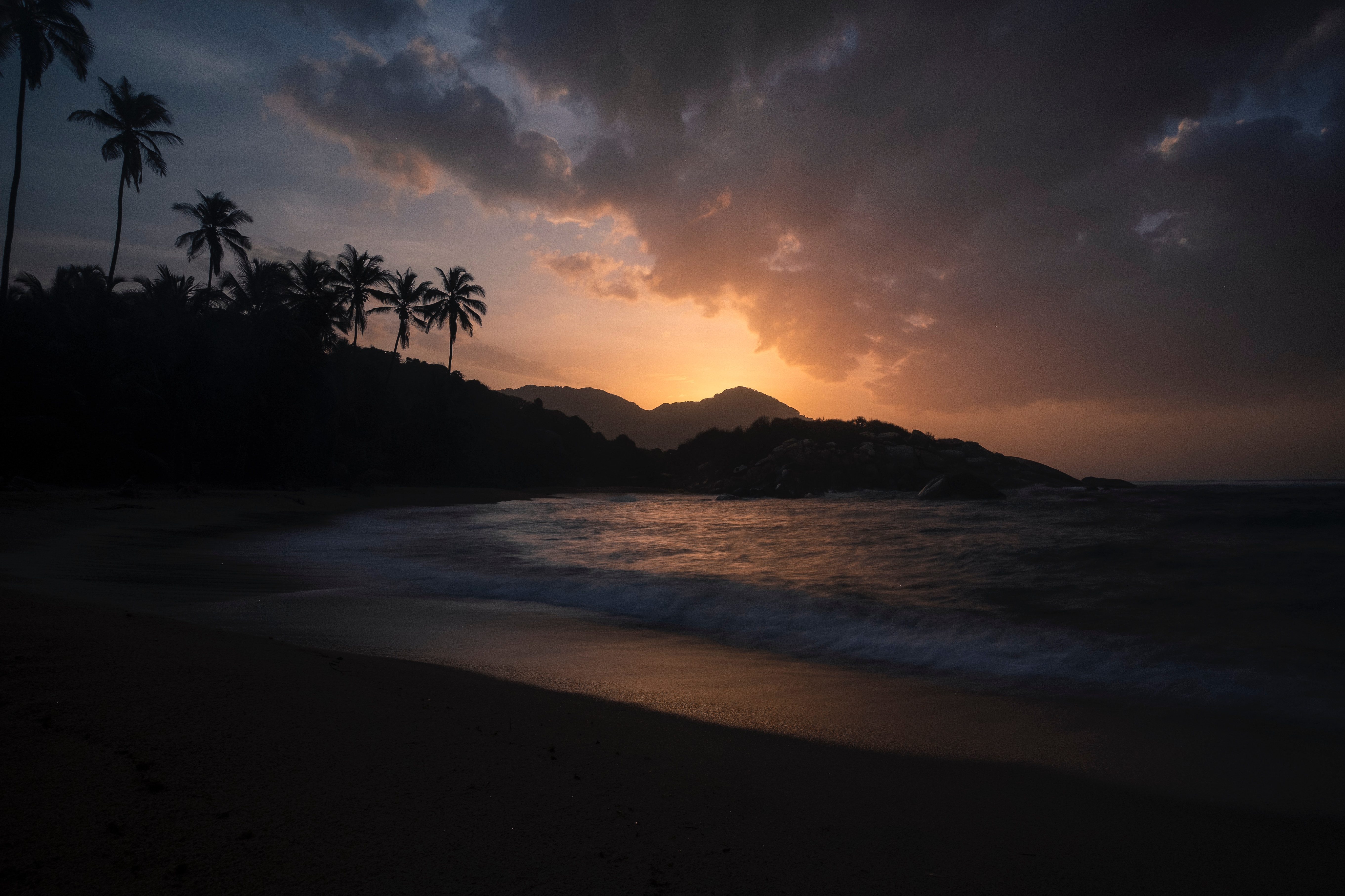 116897 скачать обои пальмы, ночь, закат, природа, берег, океан, тропики - заставки и картинки бесплатно