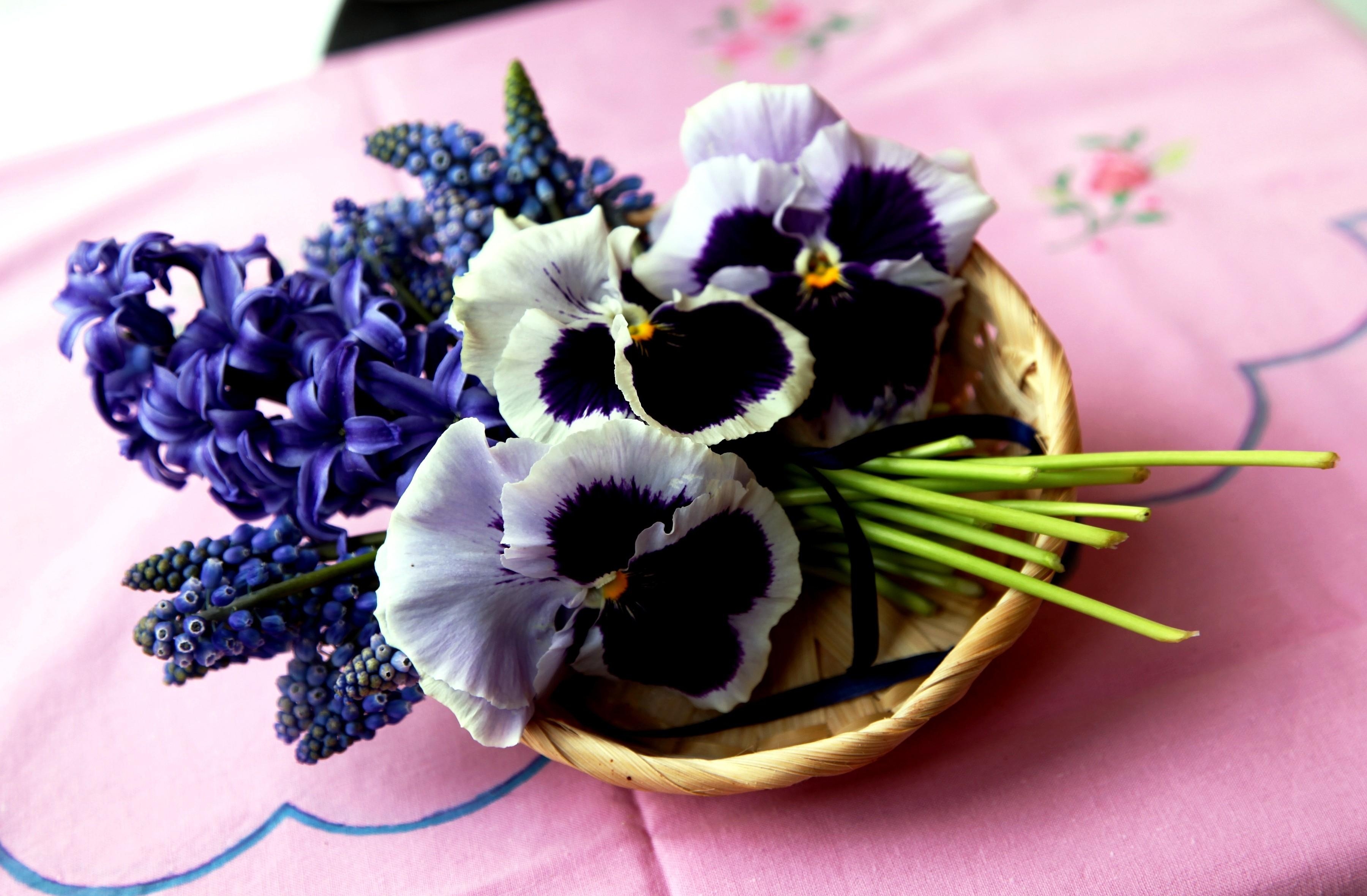 flowers, pansies, hyacinth, bouquet, basket, muscari, muskari