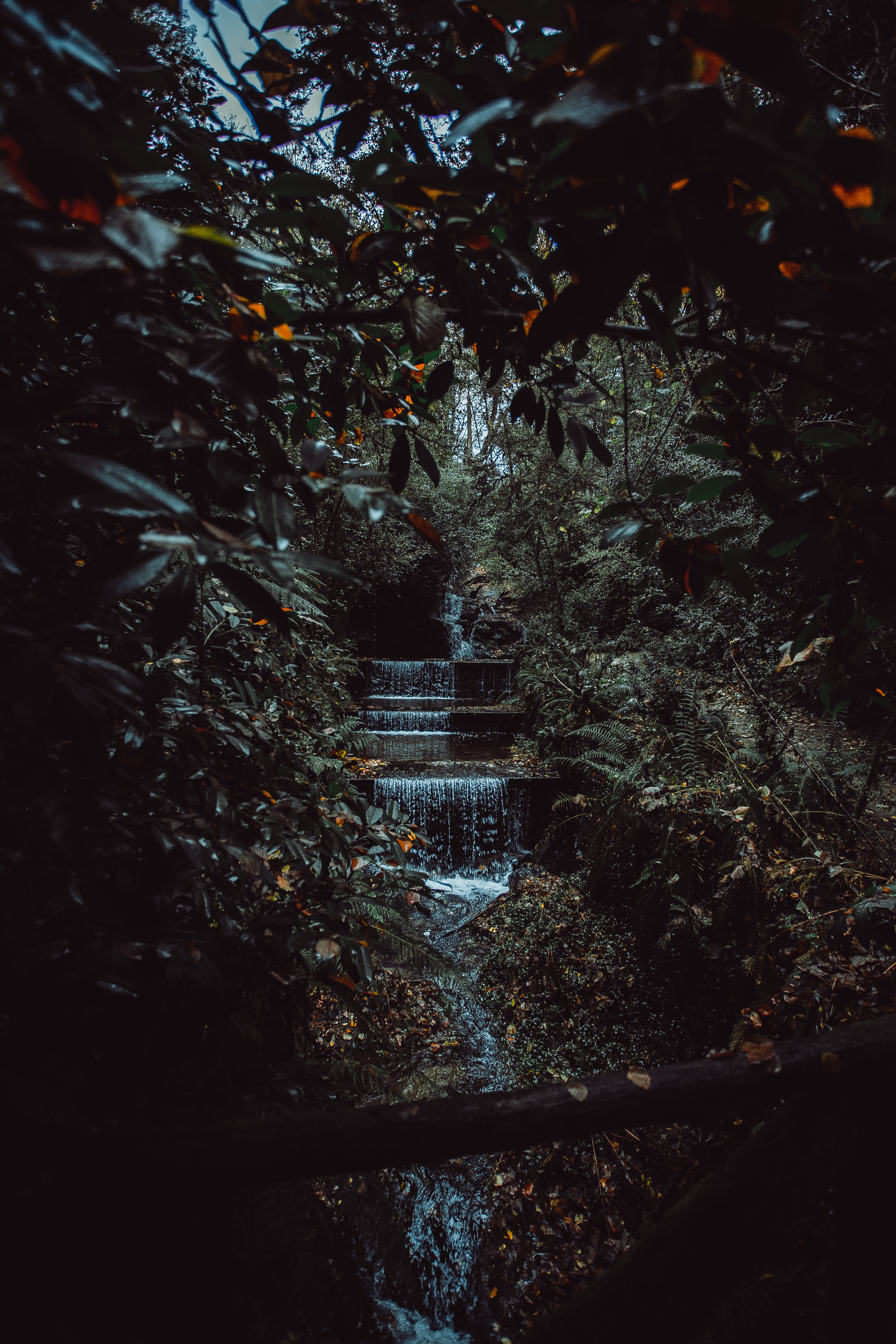jungle, nature, trees, bush, waterfall, creek, brook download HD wallpaper