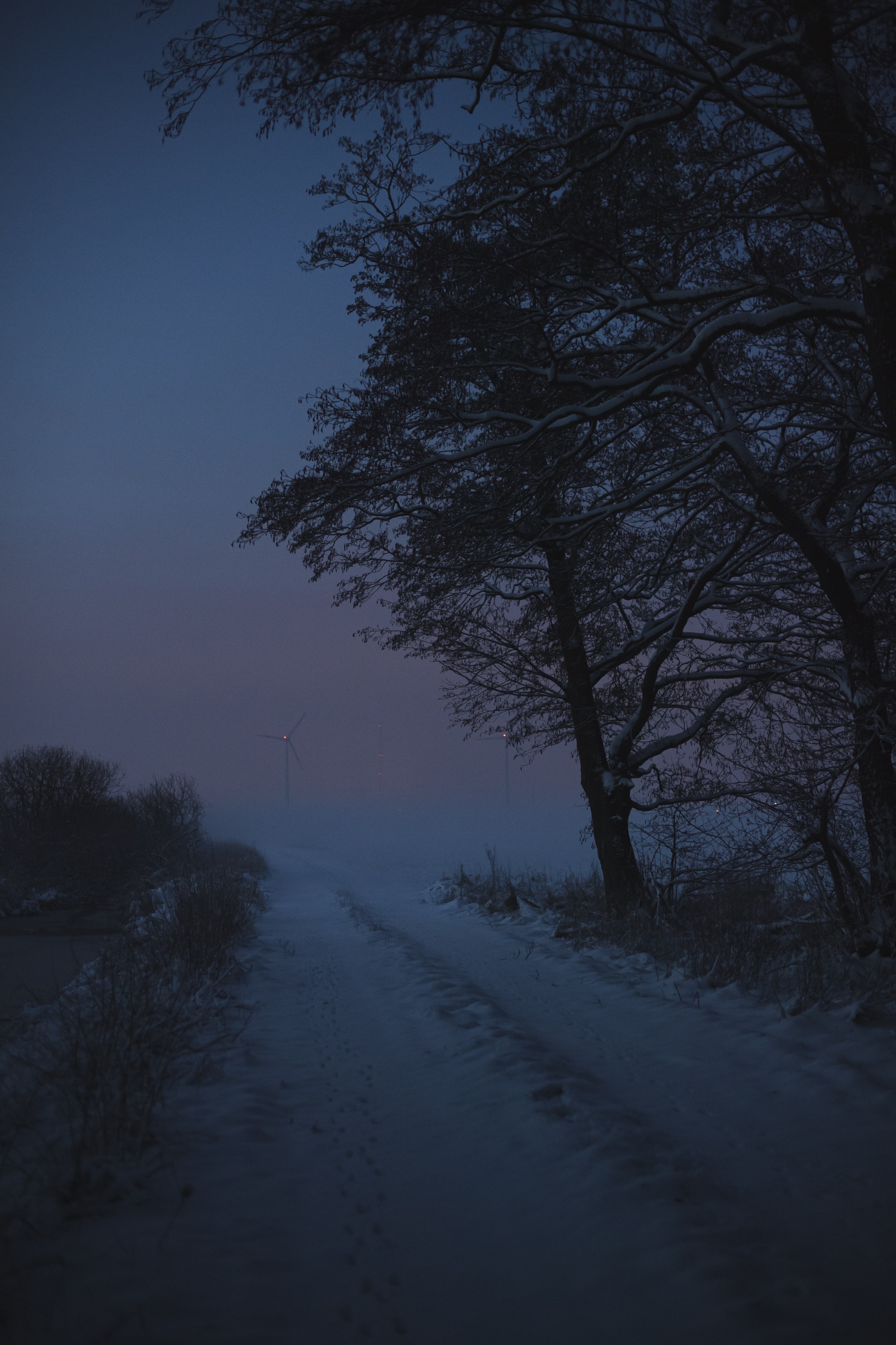 79976 1440x900 PC pictures for free, download winter, road, dusk, snow 1440x900 wallpapers on your desktop