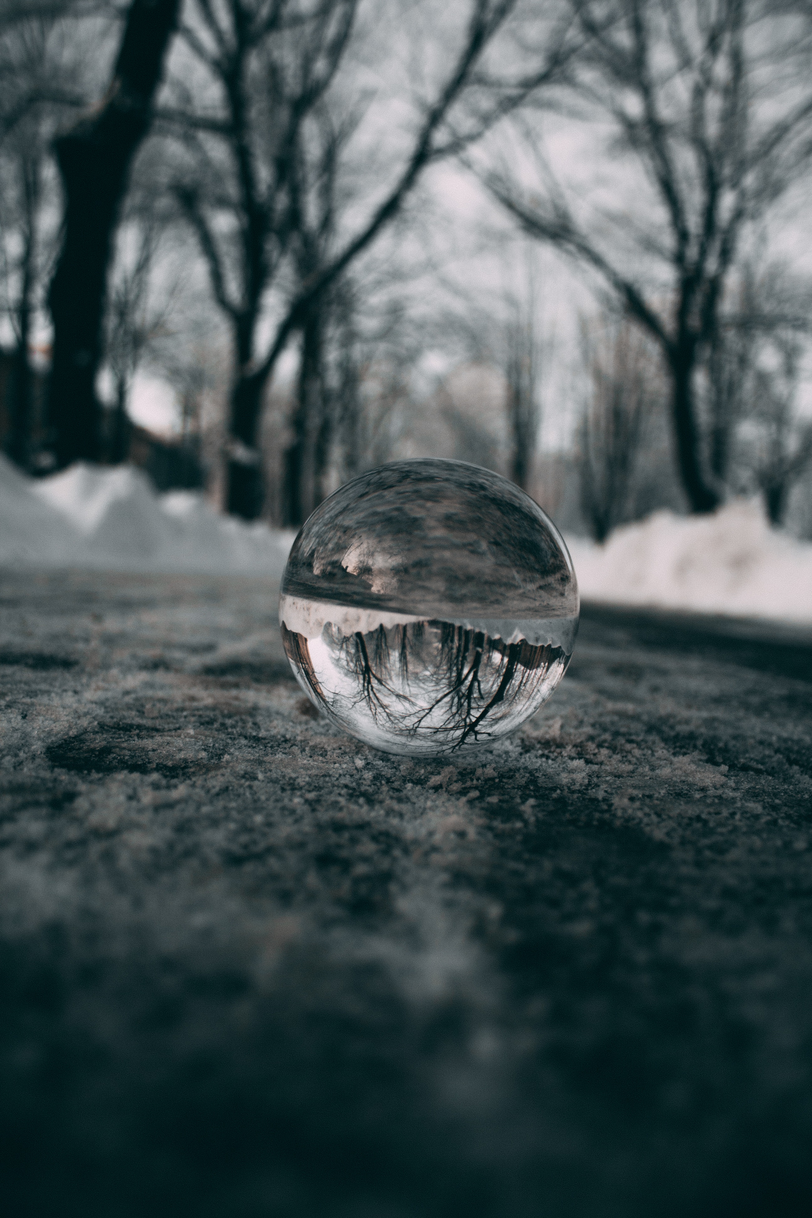 ball, blur, trees, snow, reflection, macro, smooth, glass Free Stock Photo