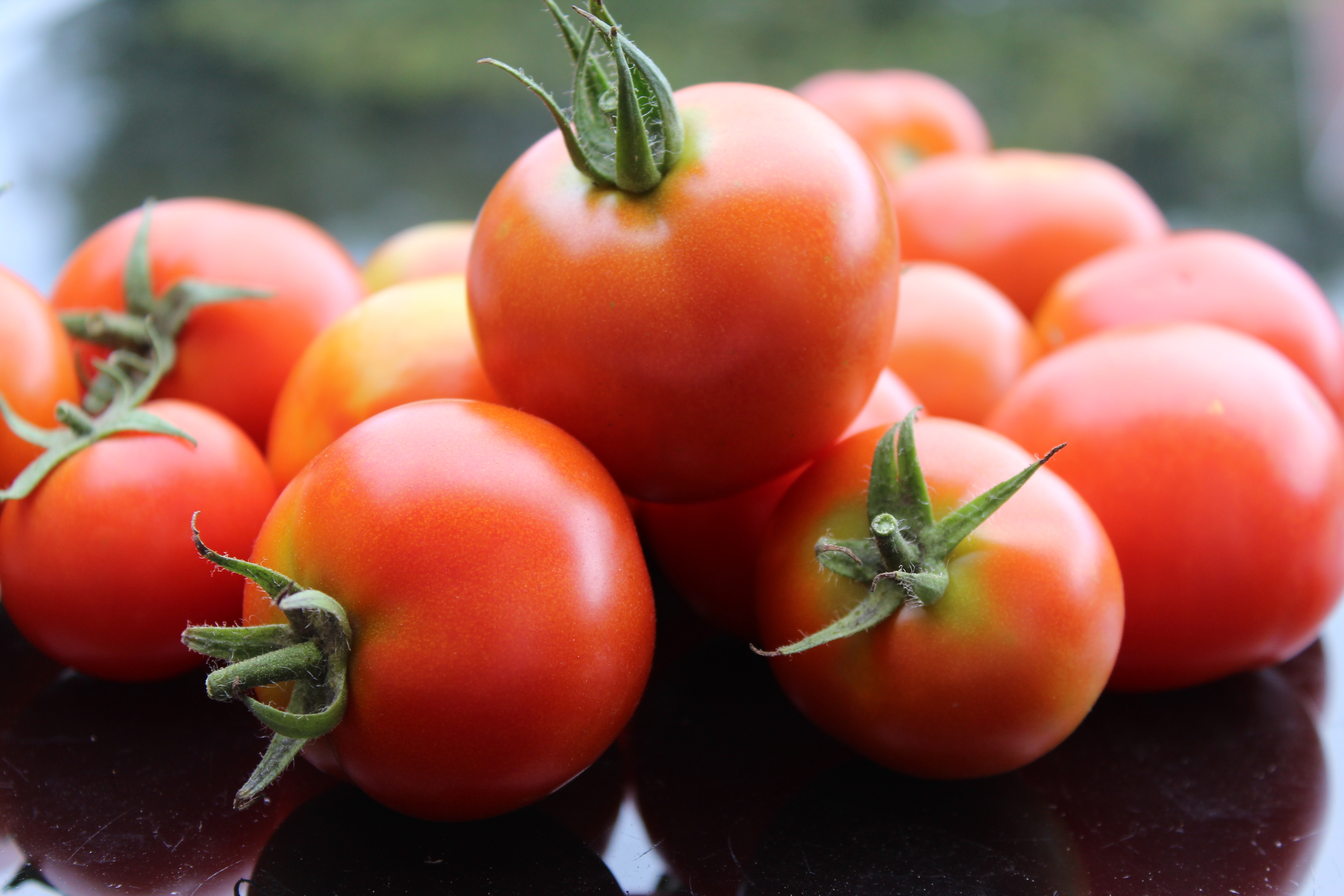 Handy-Wallpaper Lebensmittel, Gemüse, Reif, Tomaten, Tomate kostenlos herunterladen.