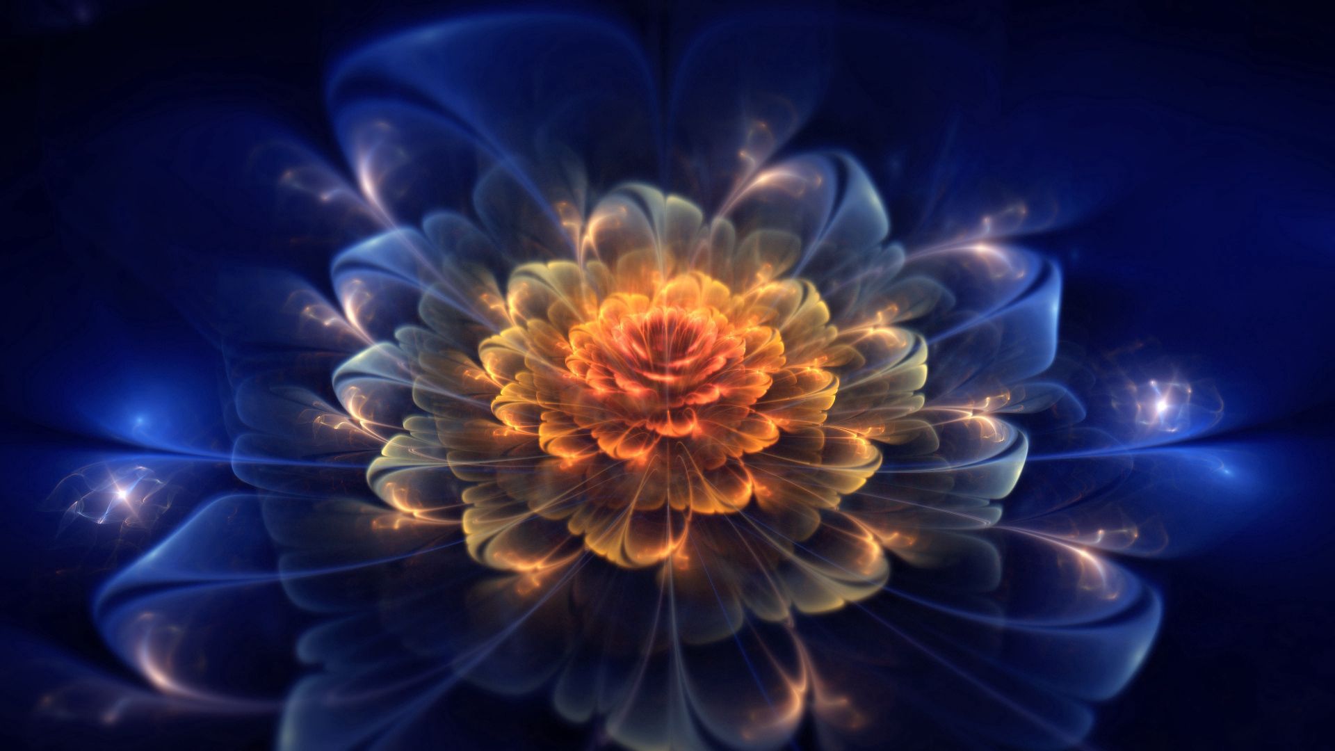 Wallpaper for mobile devices flower, light, abstract, shine