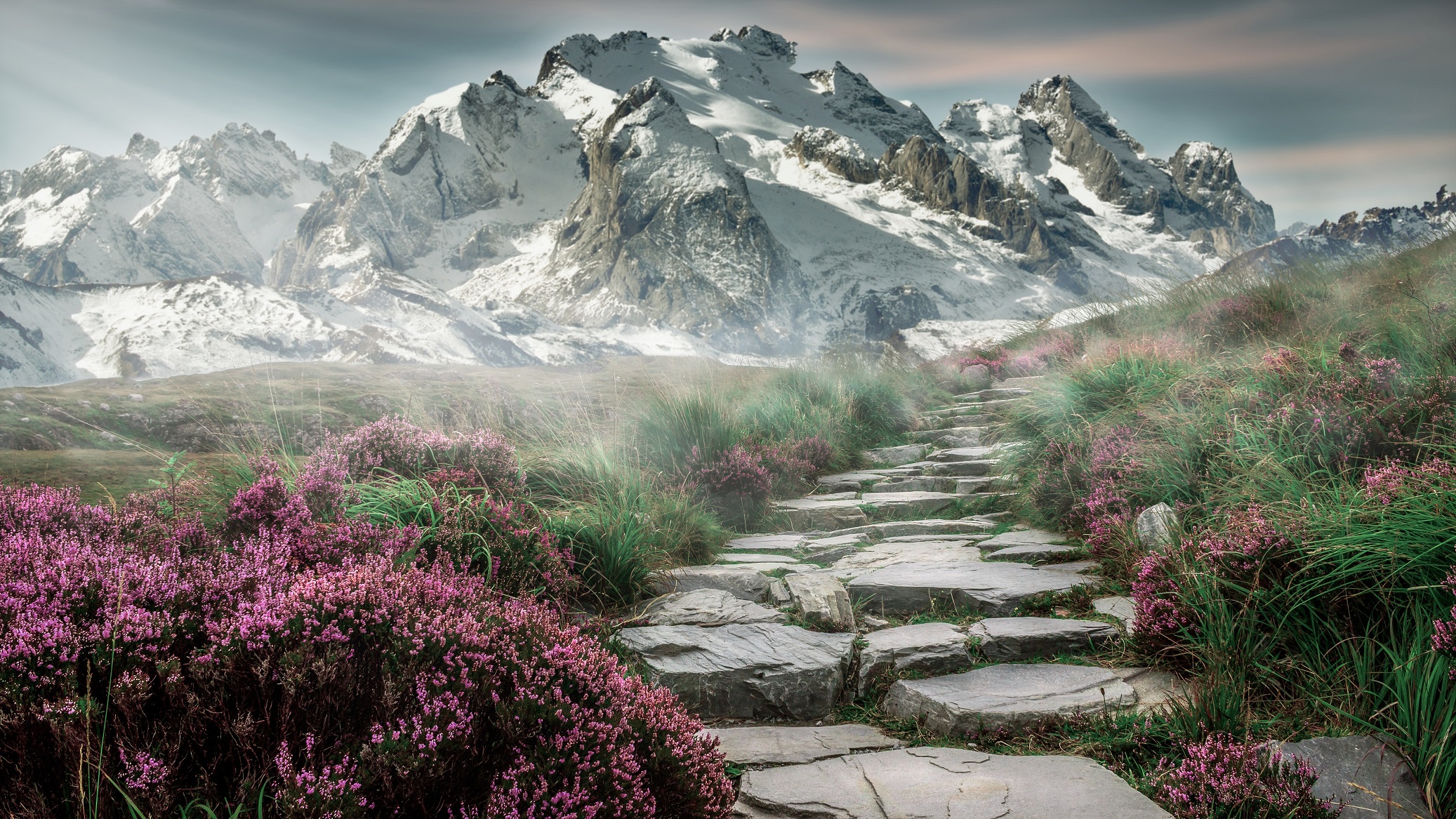 plant, snow, nature, photography, manipulation, flower, fog, landscape, mountain, path, stairs