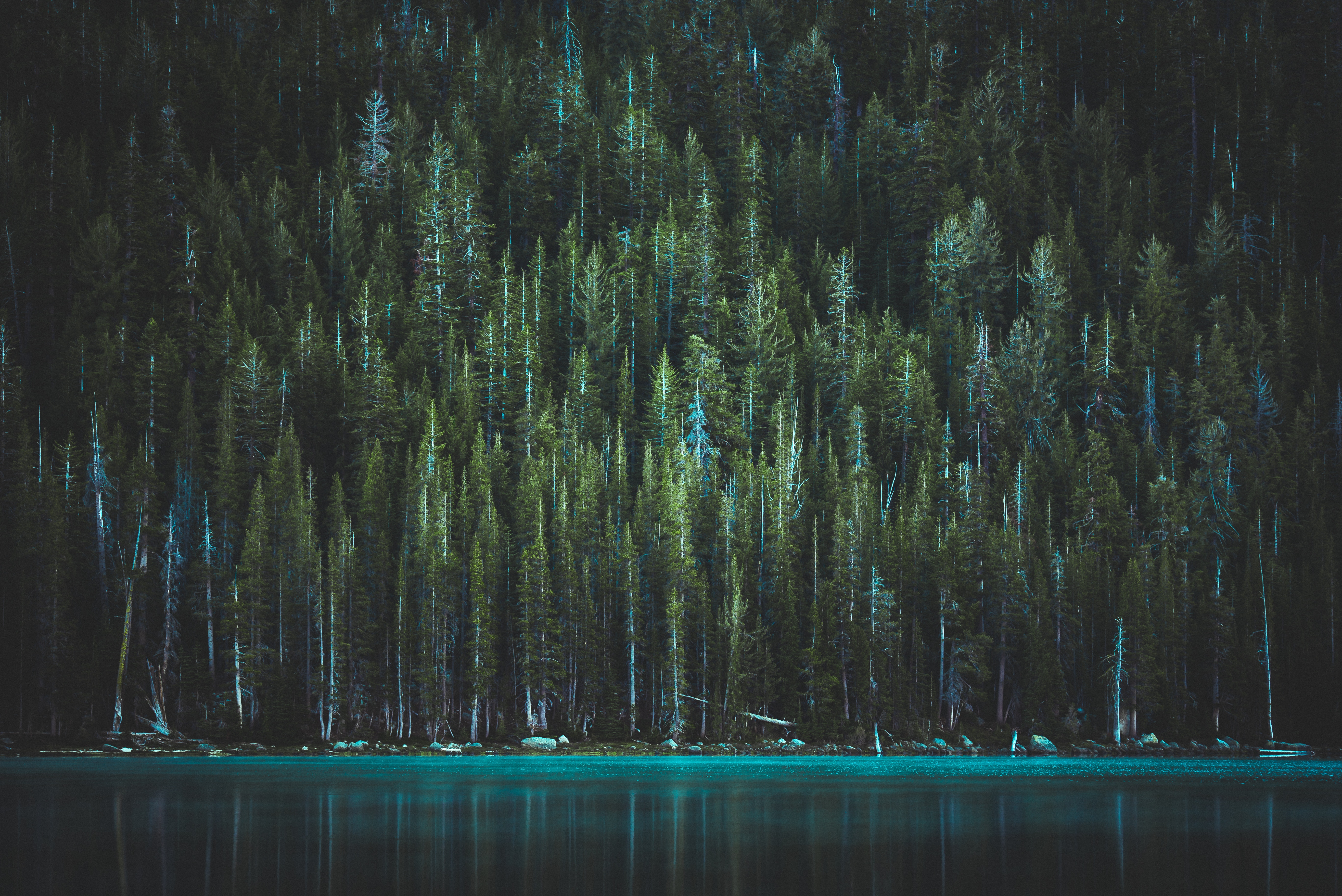 Laden Sie das Natur, Bäume, Usa, See, Yosemite Nationalpark, Yosemite-Nationalpark, Tenaya, Thenaya-Bild kostenlos auf Ihren PC-Desktop herunter