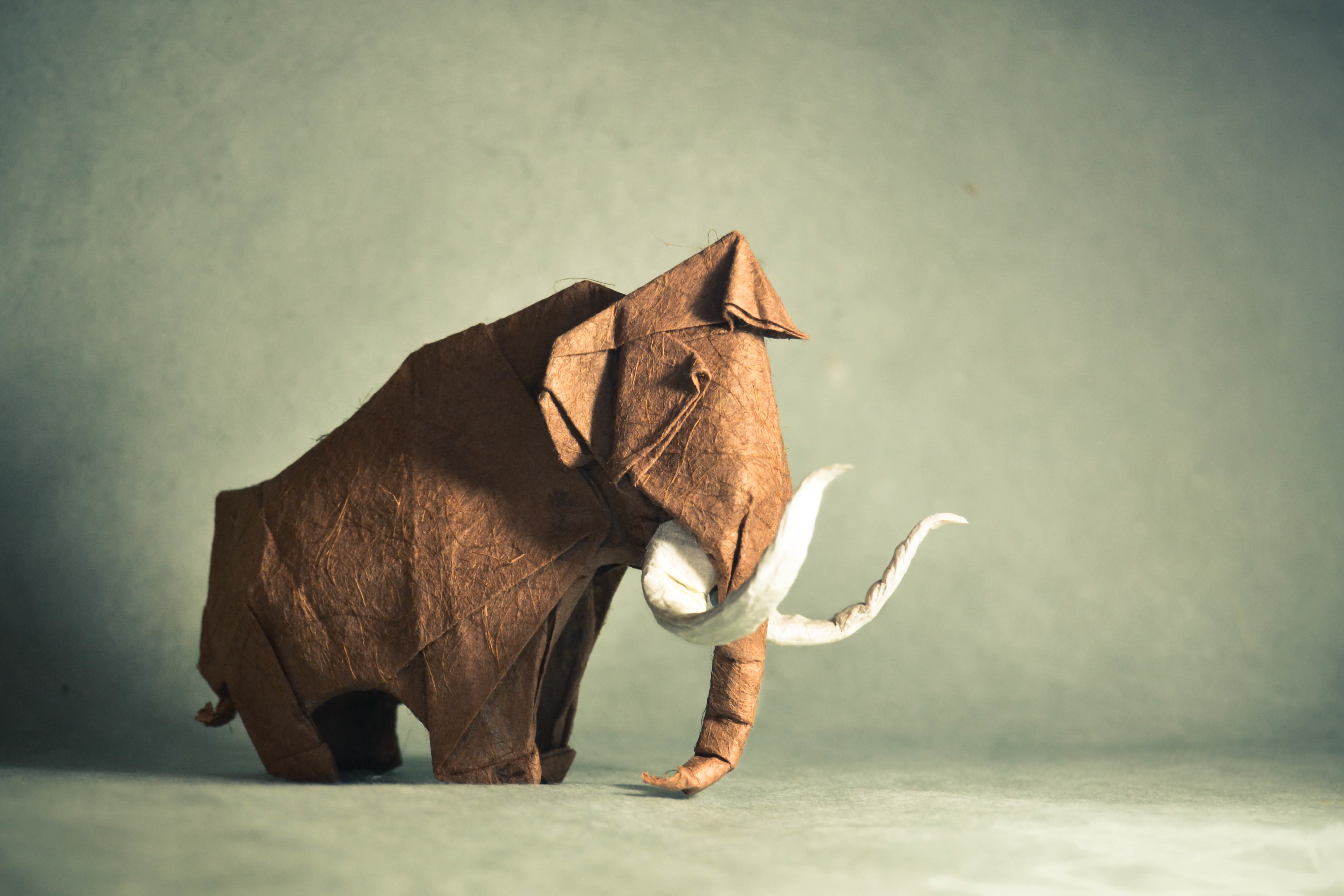 Laden Sie das Verschiedenes, Sonstige, Origami, Kunstwerk, Säugetiere, Mammut-Bild kostenlos auf Ihren PC-Desktop herunter
