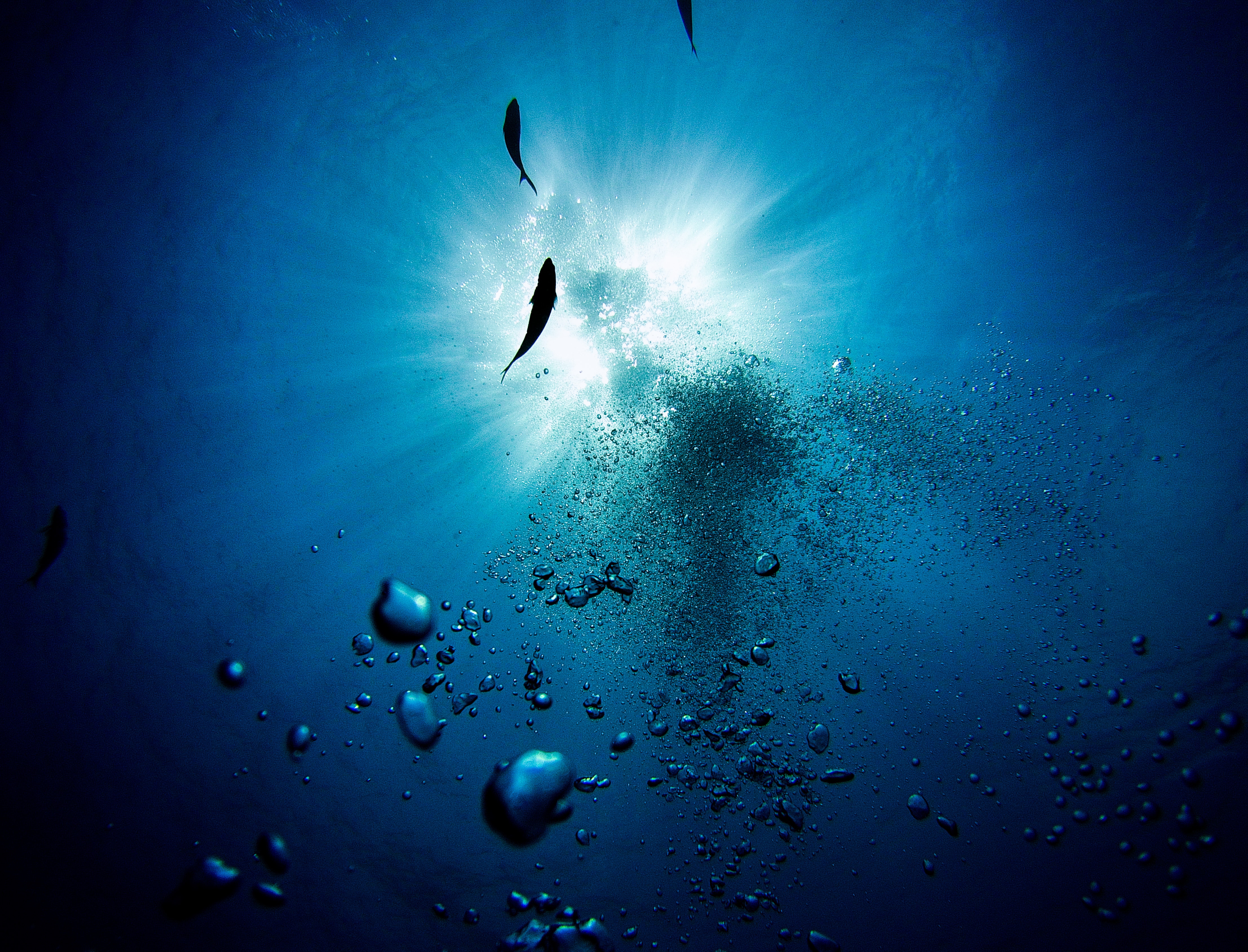 HD photos bubbles, underwater, depth, miscellanea