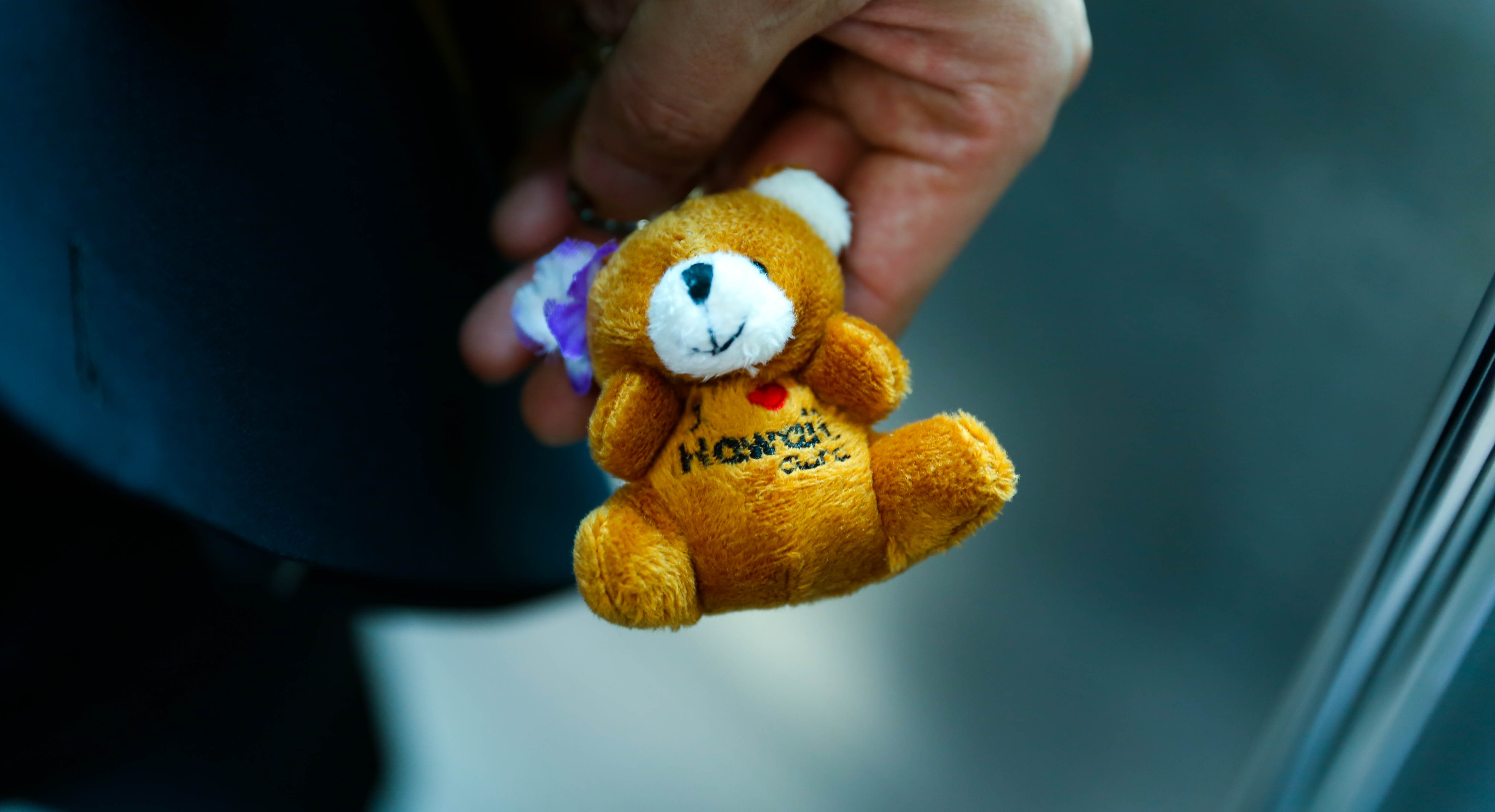 Laden Sie das Spielzeug, Teddybär, Hand, Verschiedenes, Sonstige-Bild kostenlos auf Ihren PC-Desktop herunter
