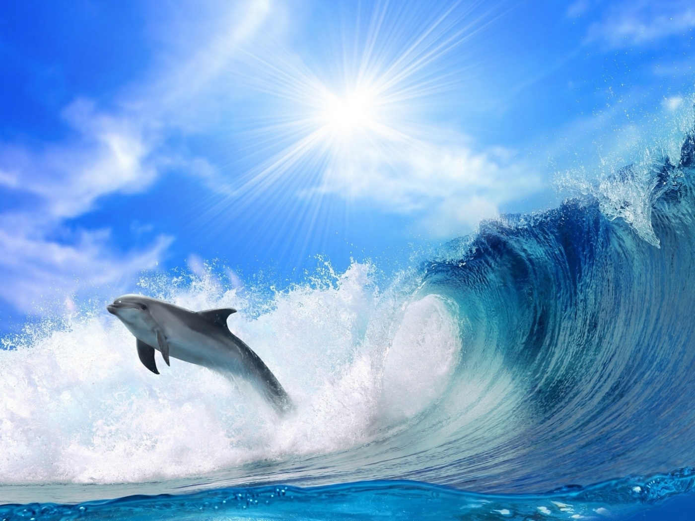 33068 Hintergrundbild herunterladen delfine, tiere, blau - Bildschirmschoner und Bilder kostenlos