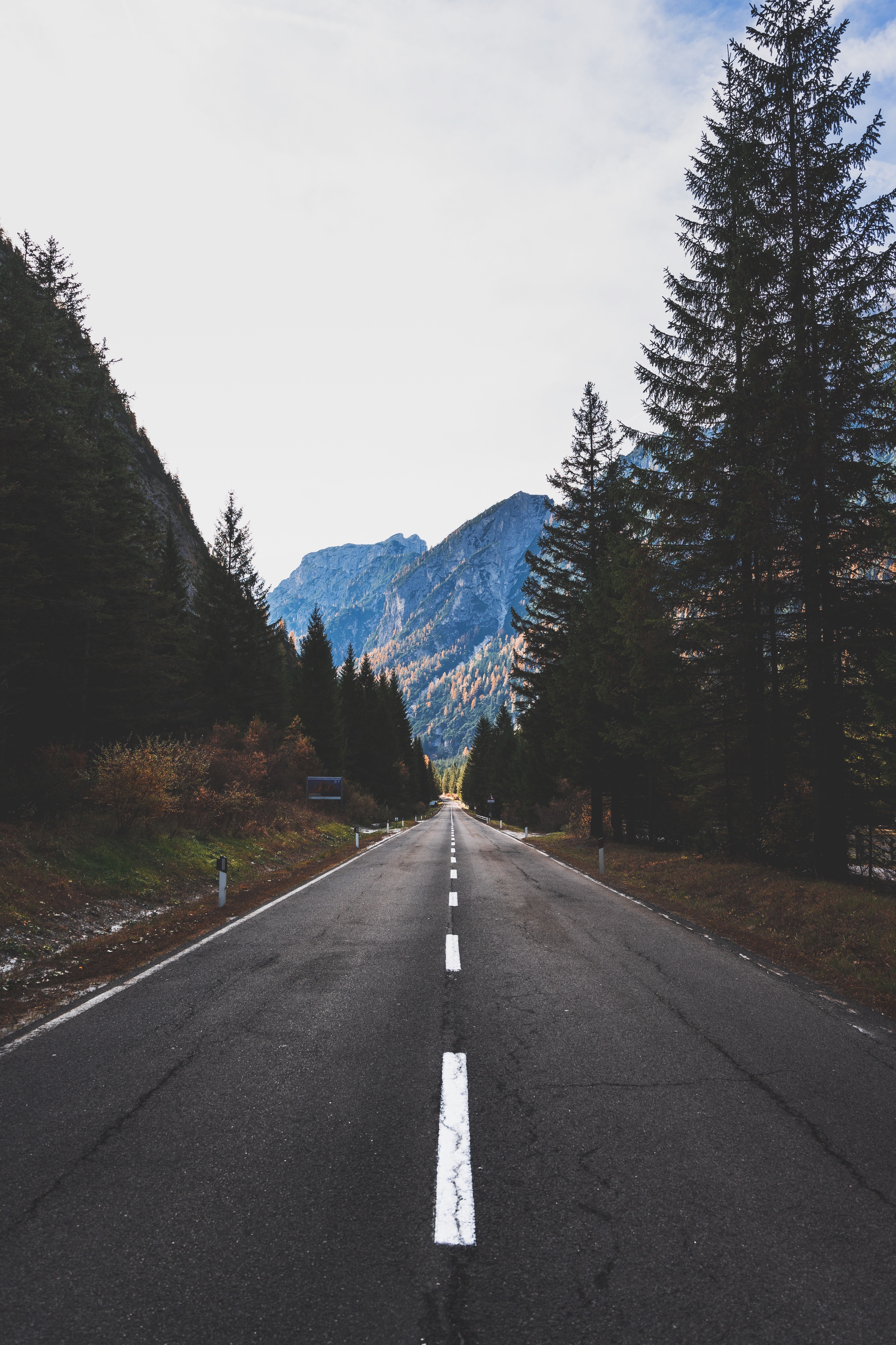 mountains, nature, trees, road, markup Phone Background