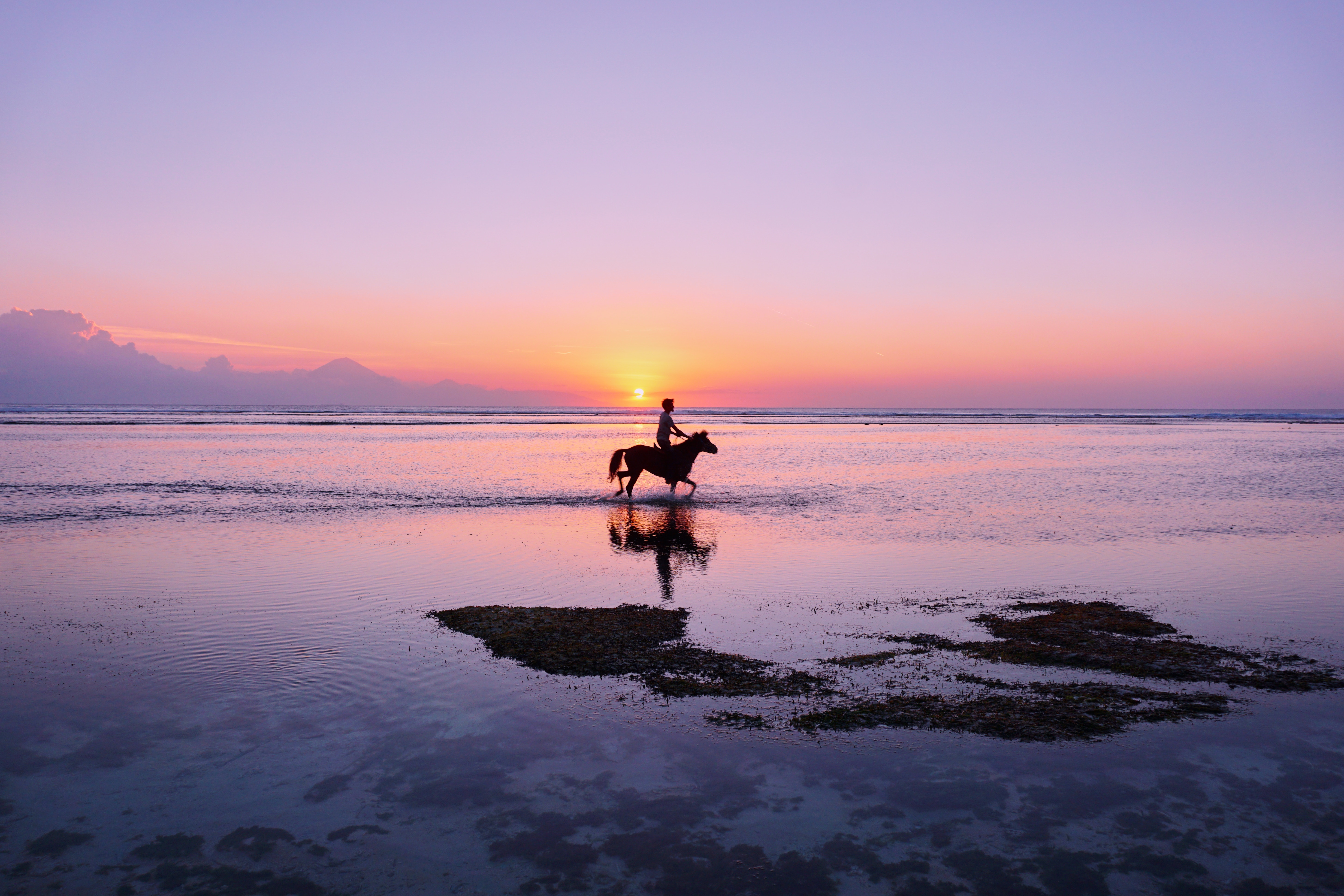 coast, gili trawangan, horse, nature Free HD pic