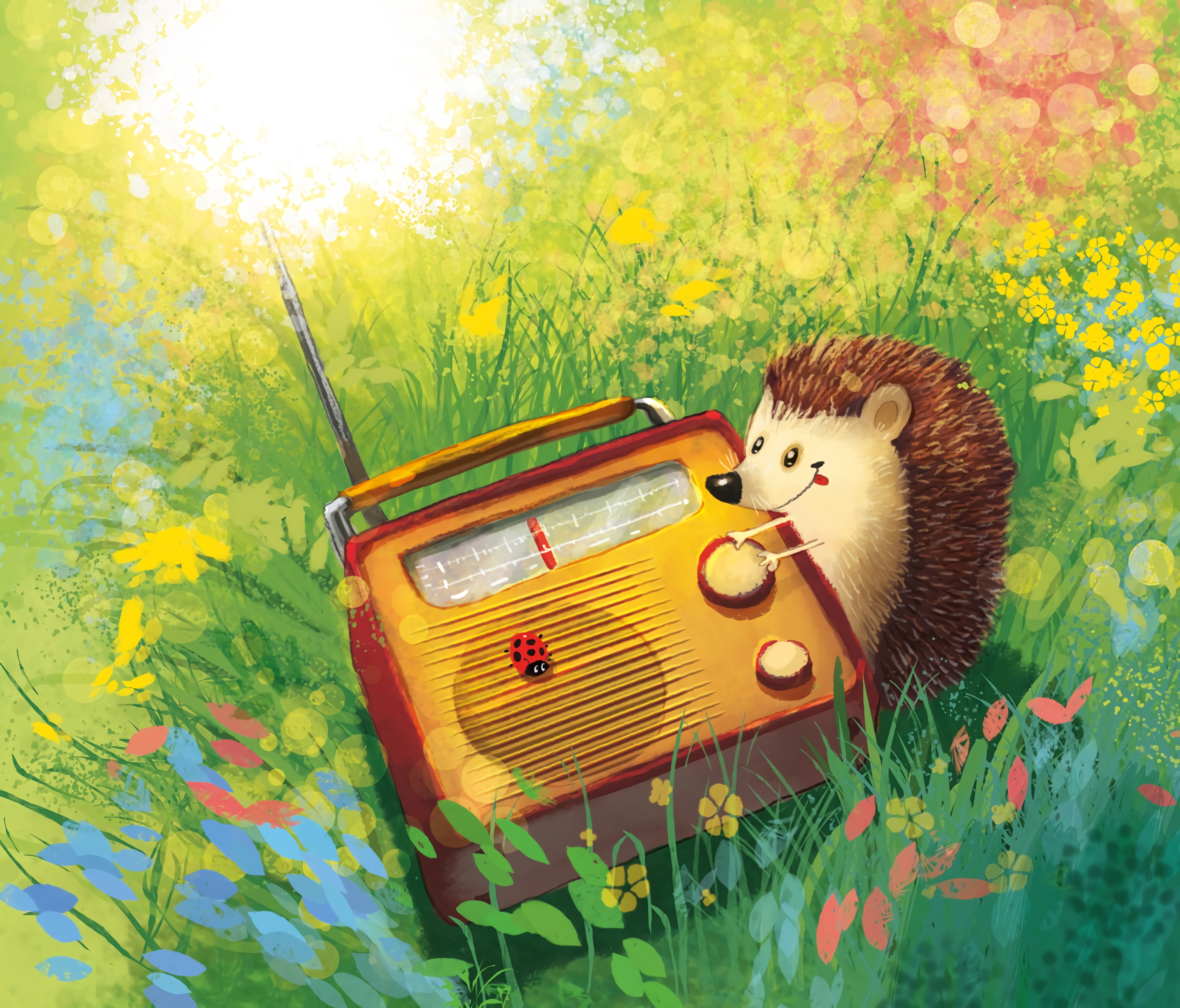 Download mobile wallpaper Radio, Nice, Sweetheart, Hedgehog, Grass, Art for free.