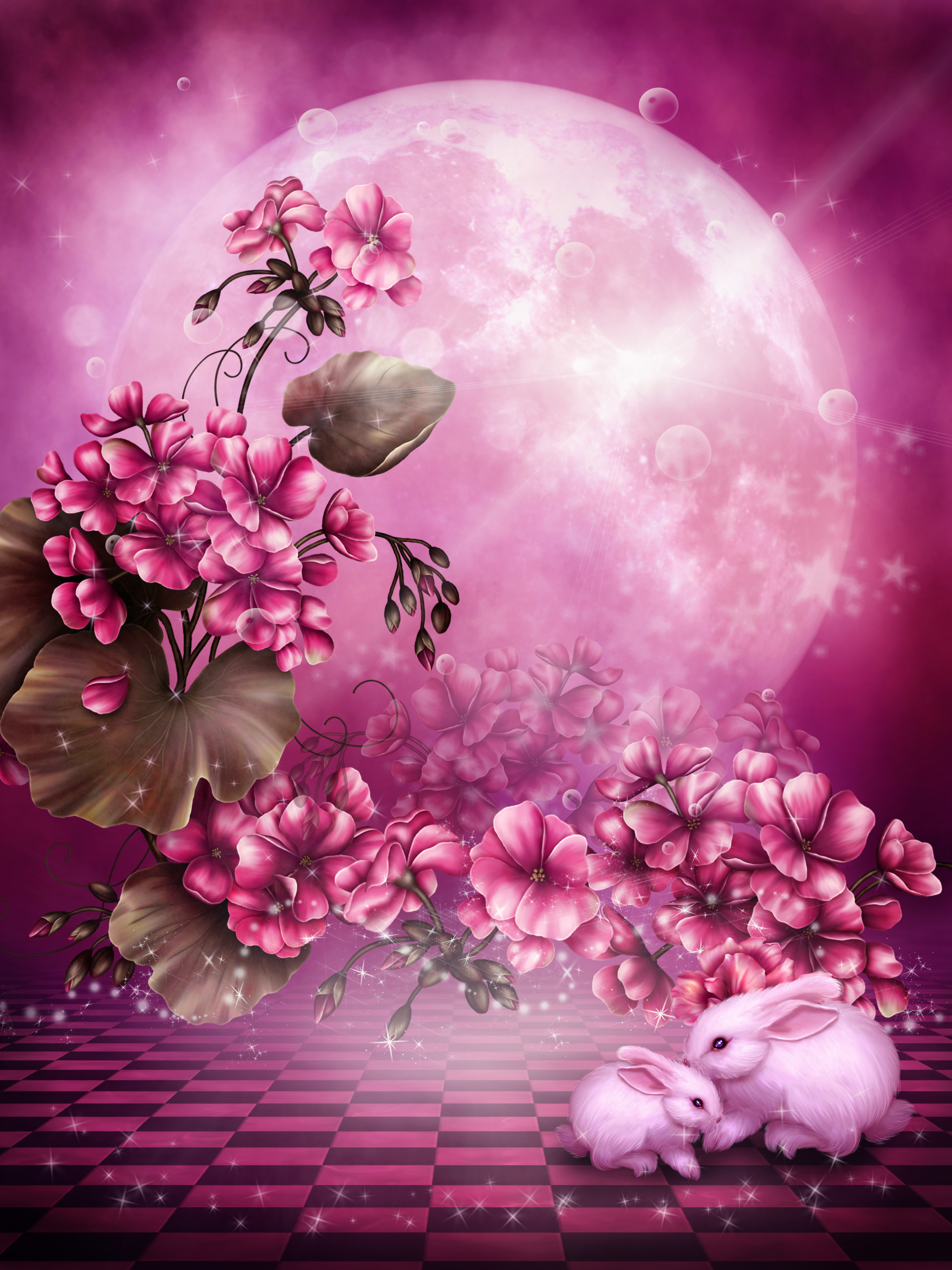 rabbits, pictures, plants, flowers, red wallpaper for mobile