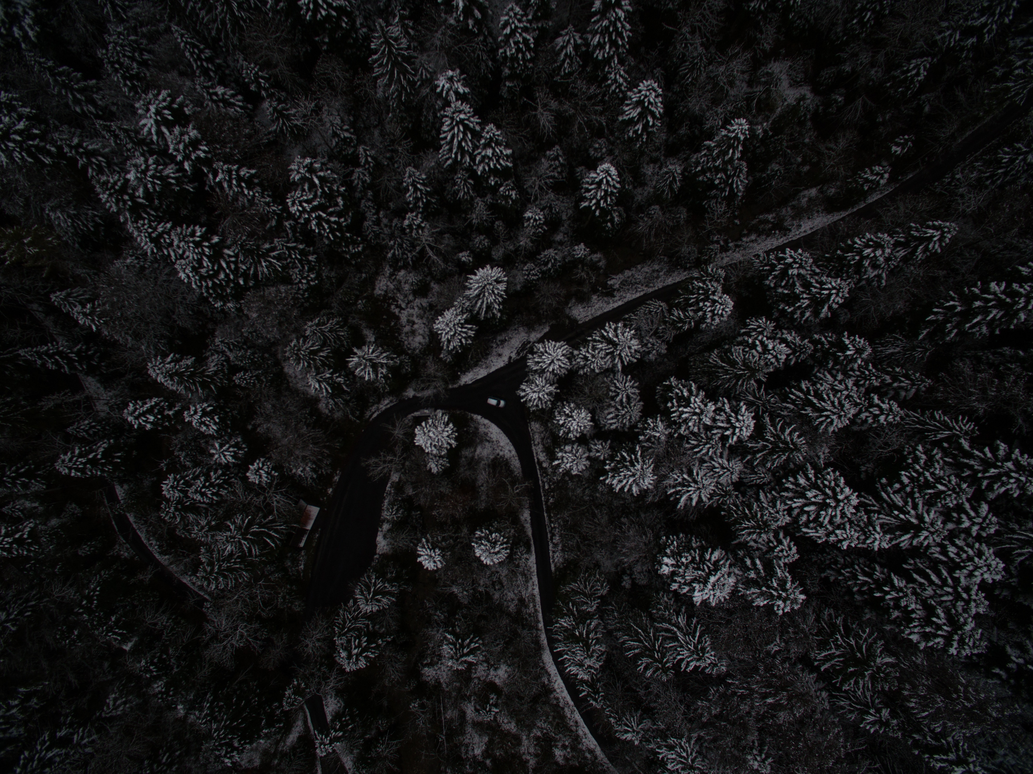 Ultra HD 4K nature, view from above, snowbound, trees