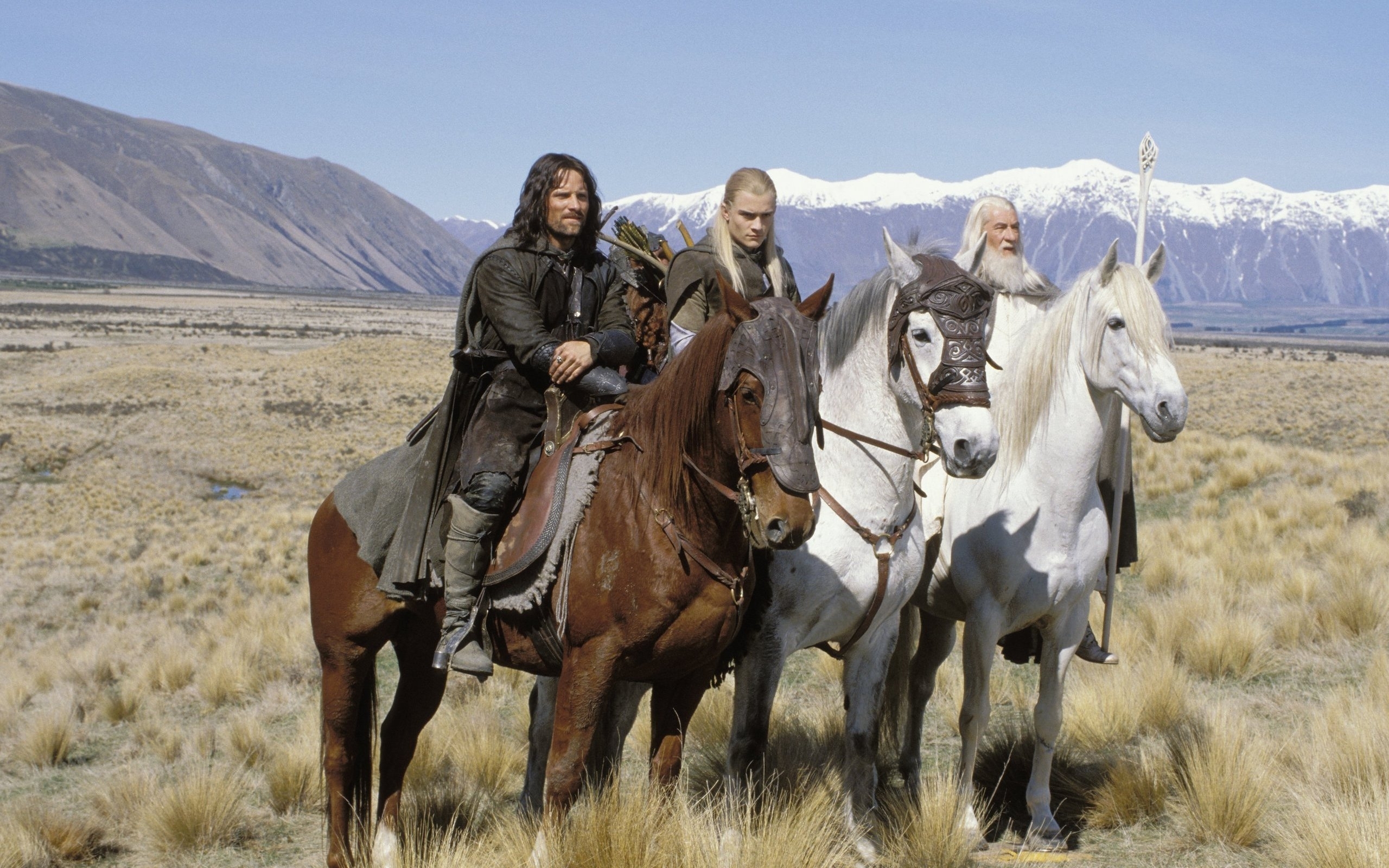 iPhone background horses, cinema, actors, animals