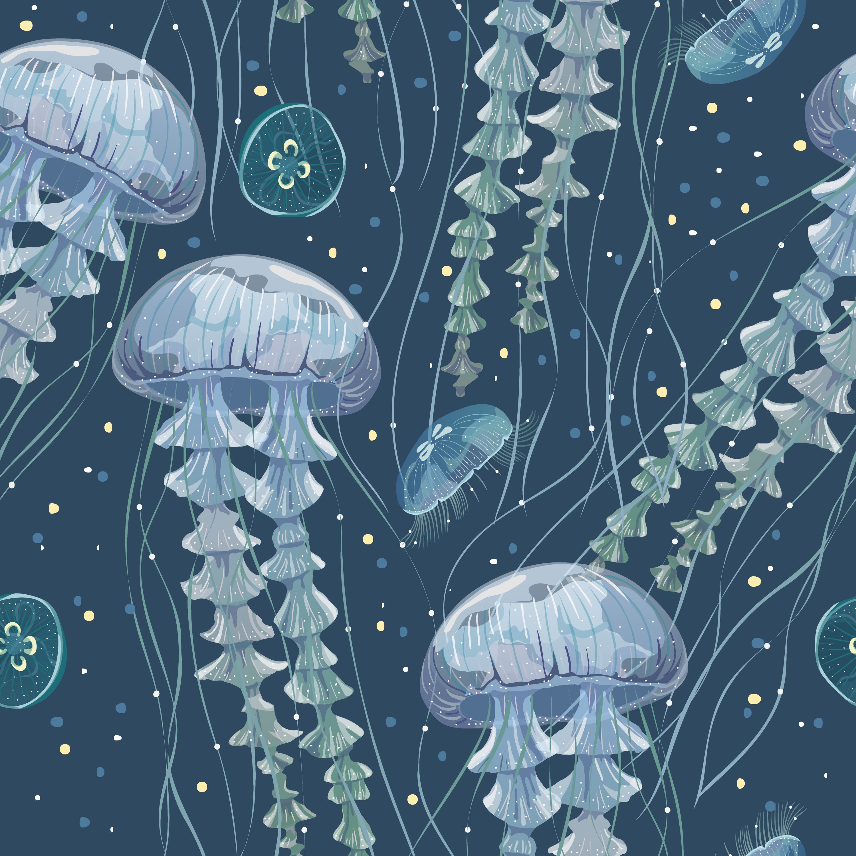 56183 download wallpaper art, jellyfish, vector, underwater world, tentacles, seaweed, algae screensavers and pictures for free