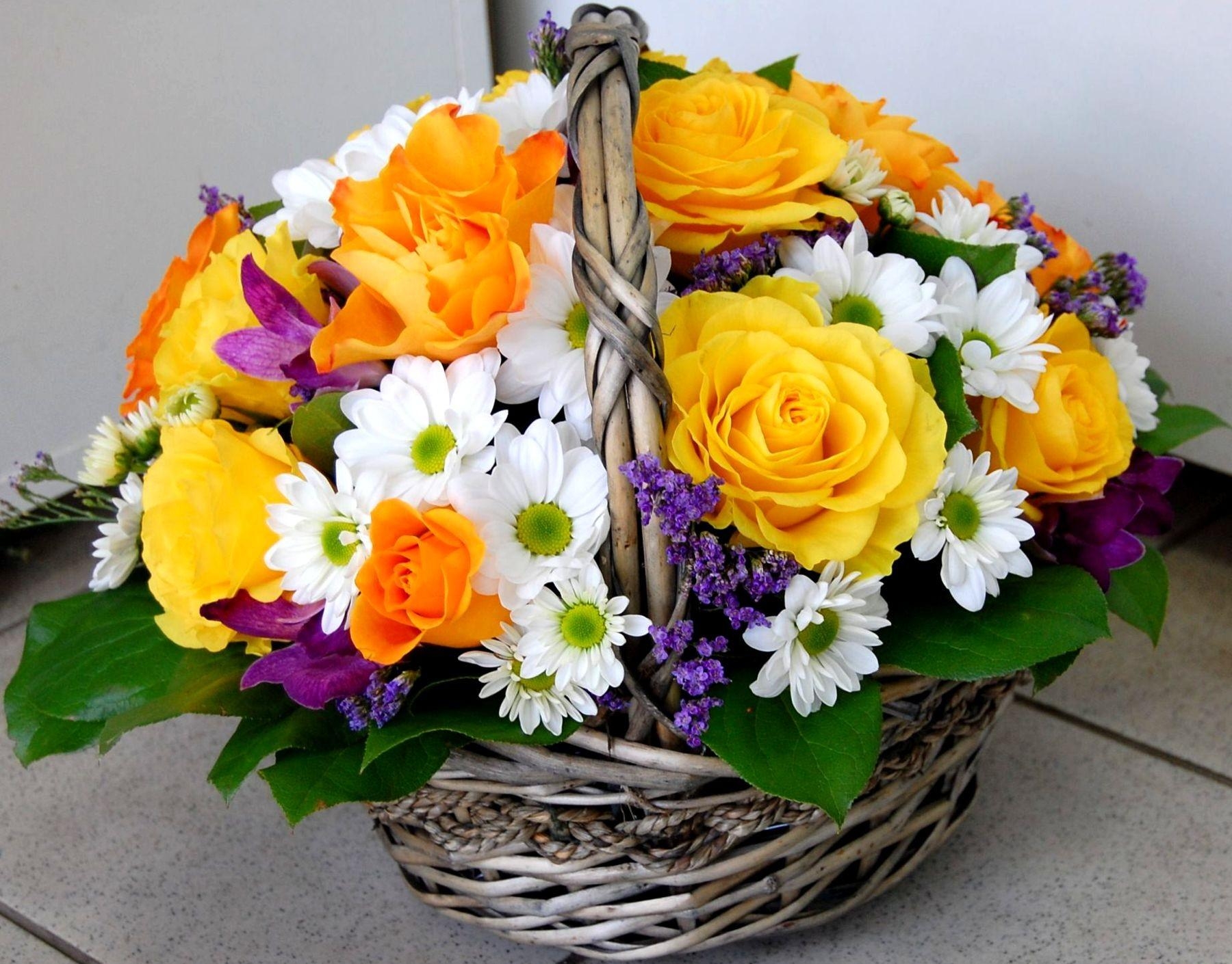 roses, flowers, handsomely, basket HD Mobile