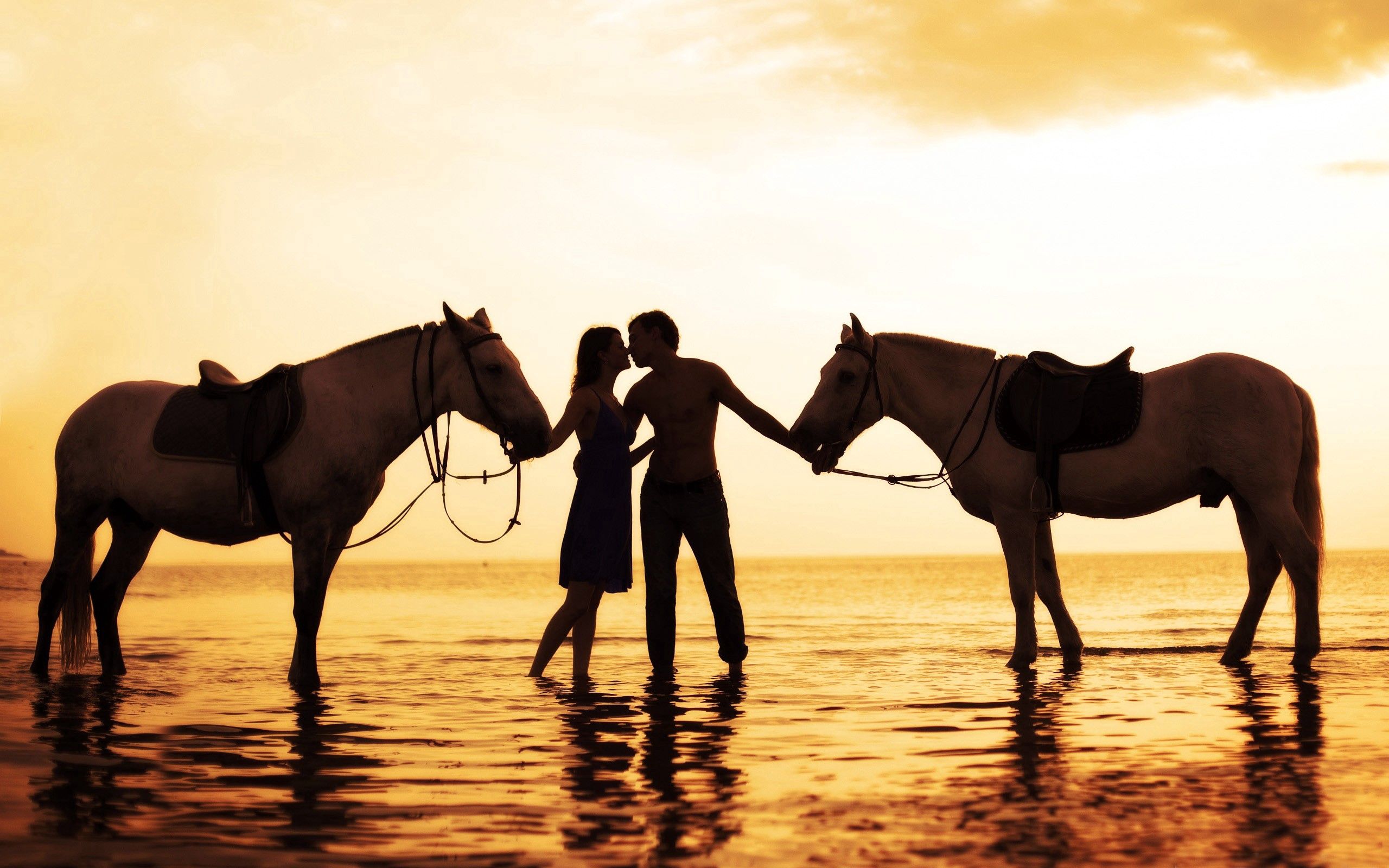 66588 скачать обои лошади, любовь, романтика, нежность, пара, море, закат - заставки и картинки бесплатно