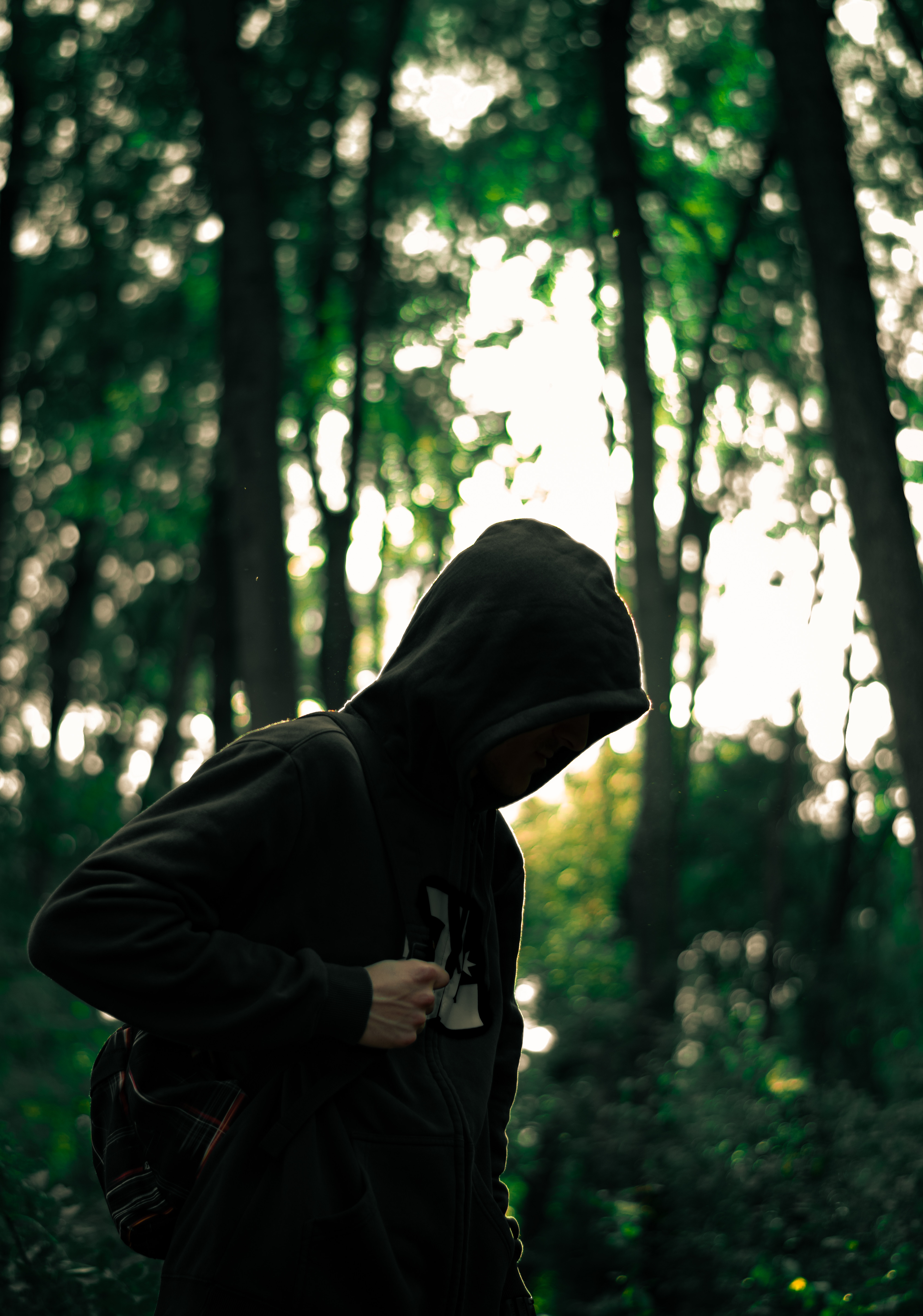 miscellanea, miscellaneous, forest, human, person, anonymous, hood