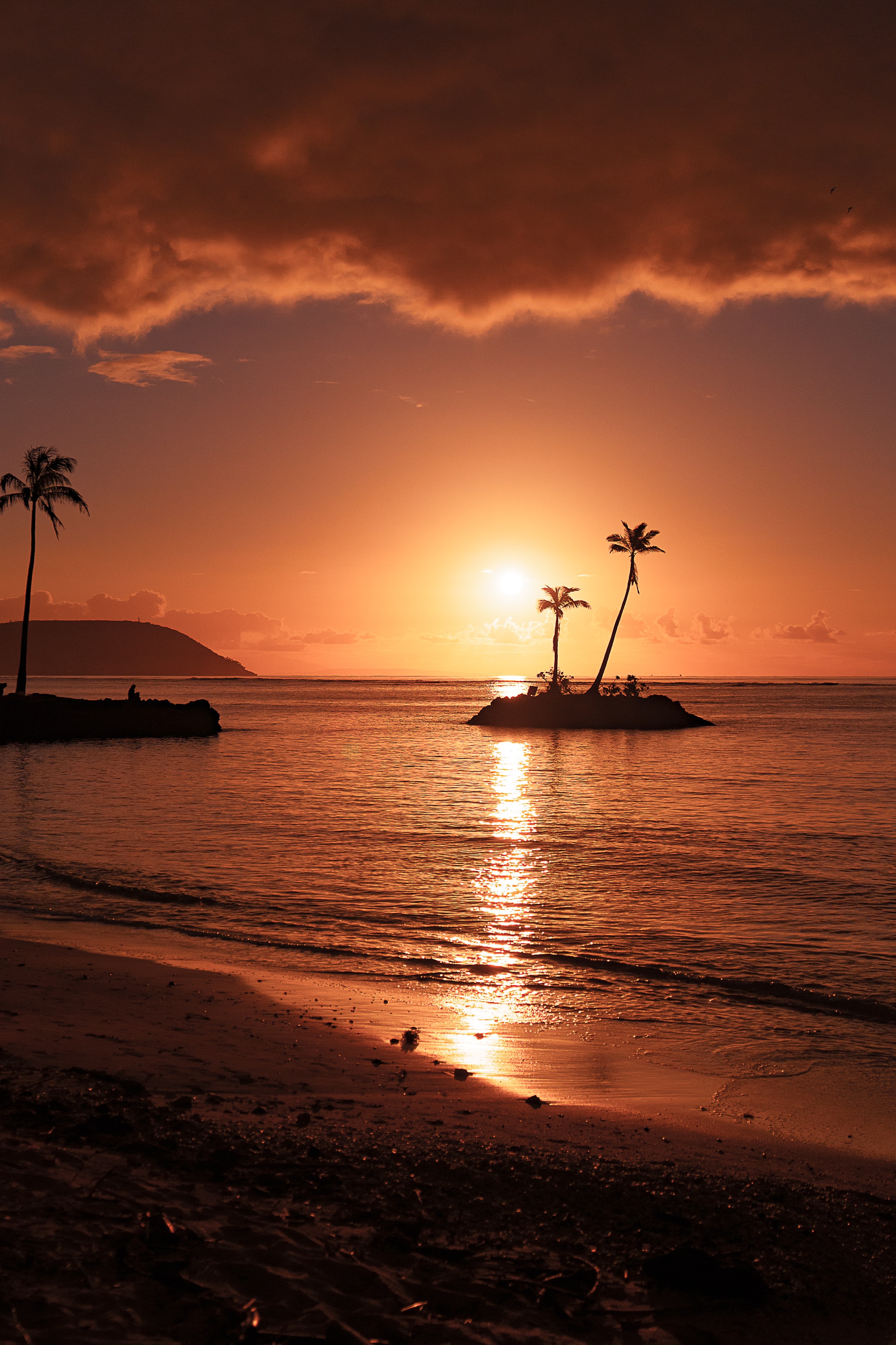 beach, nature, sunset, sea, palms, island cellphone